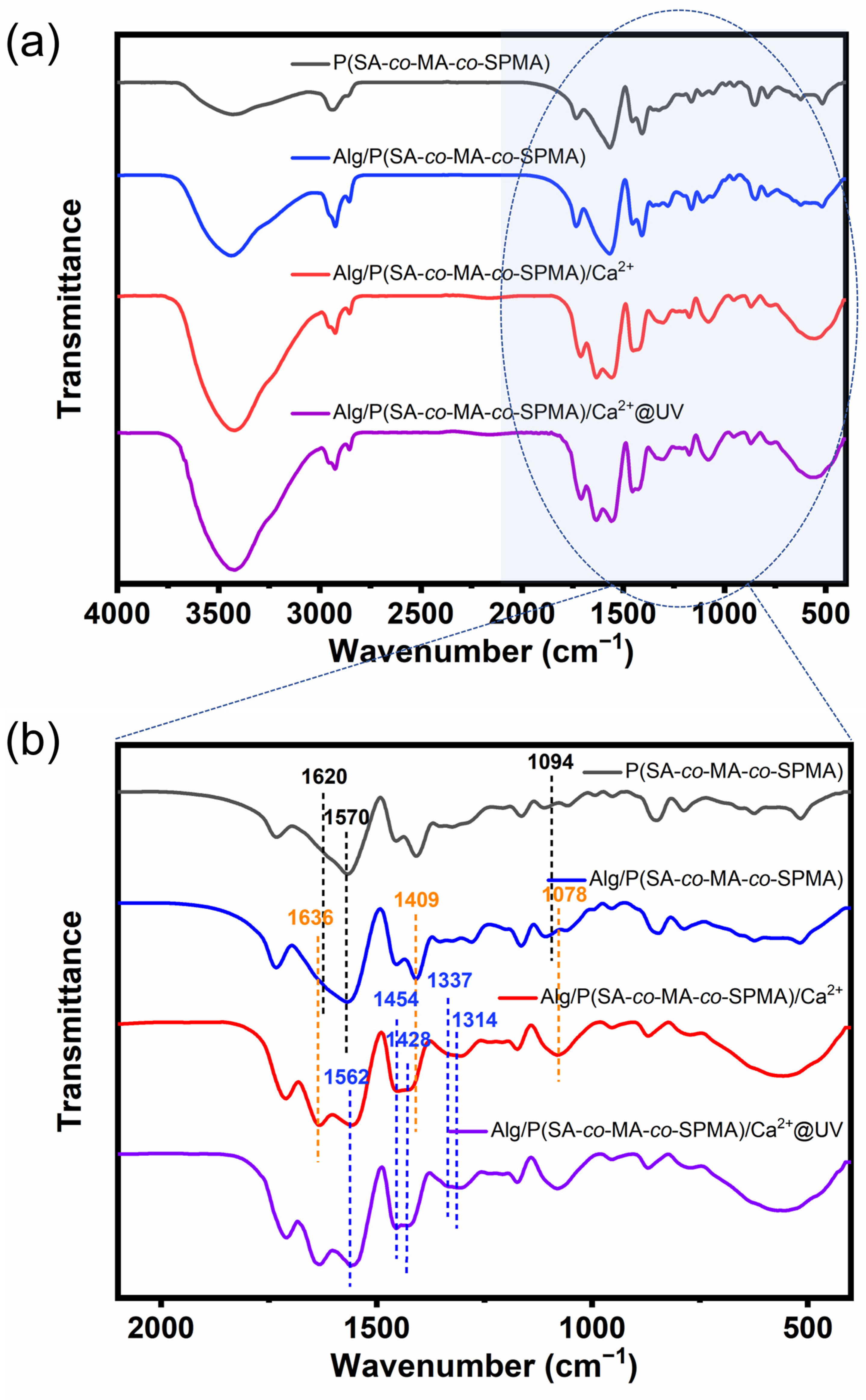 Polymers 16 01031 g002