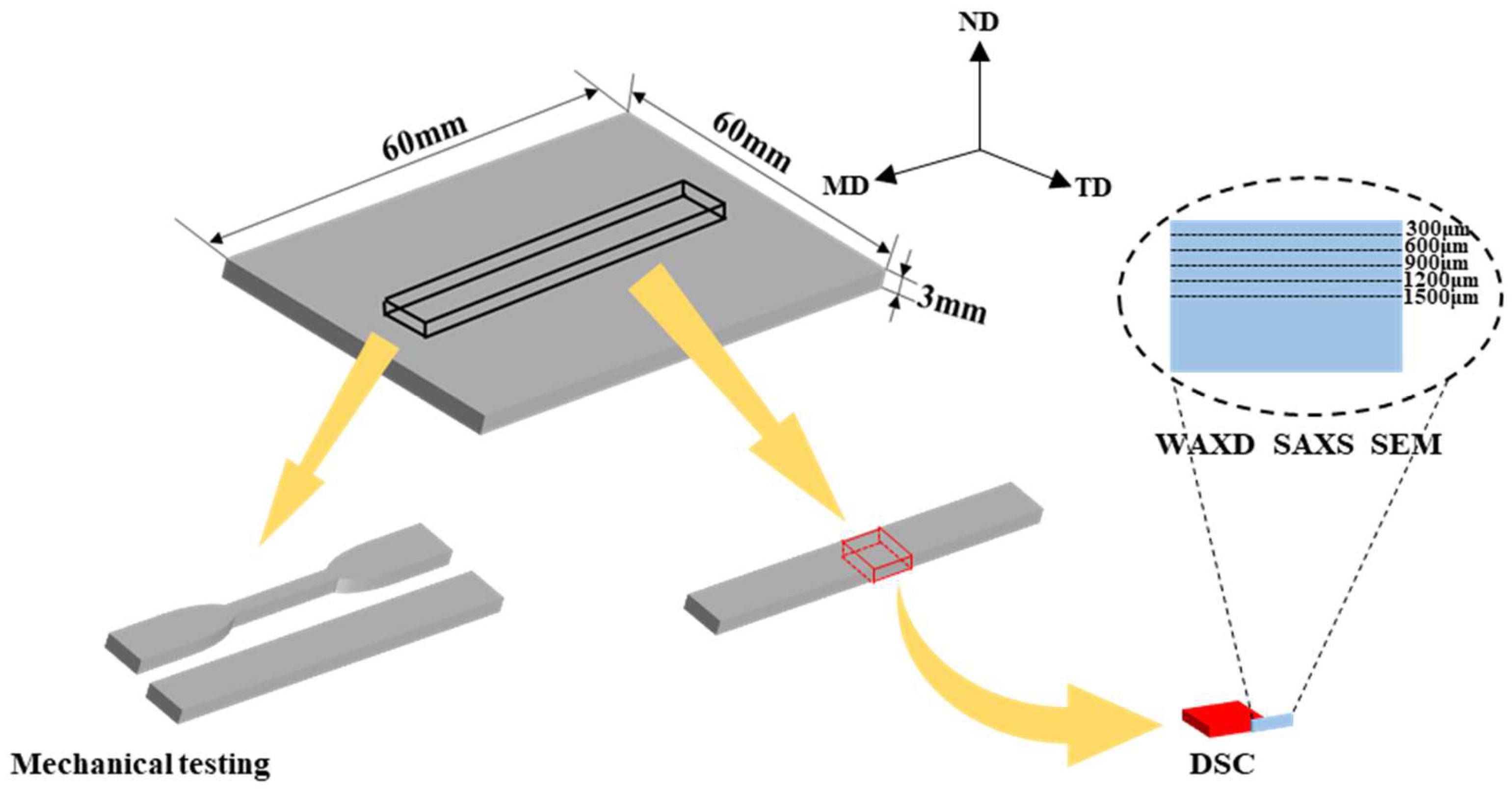 Polymers 16 01032 g002