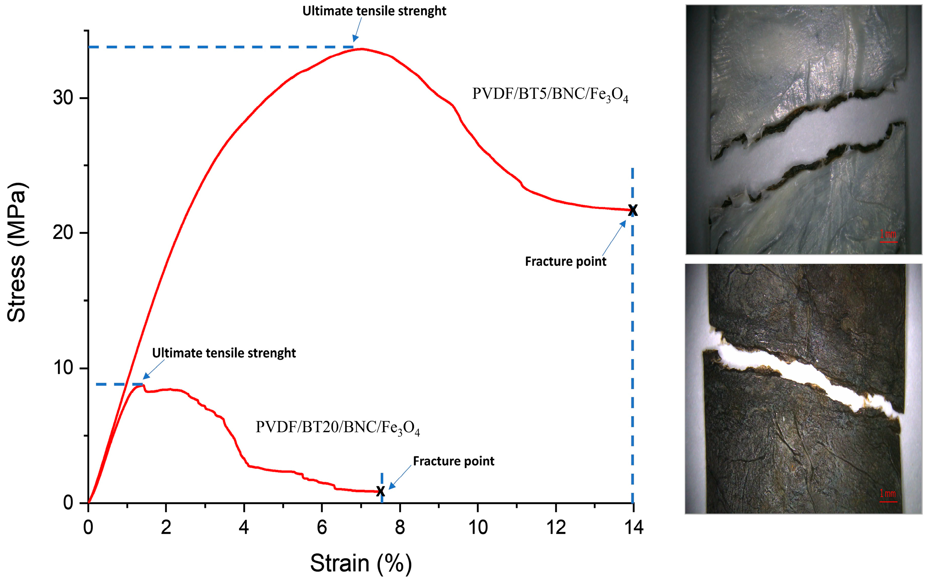 Polymers 16 01033 g005