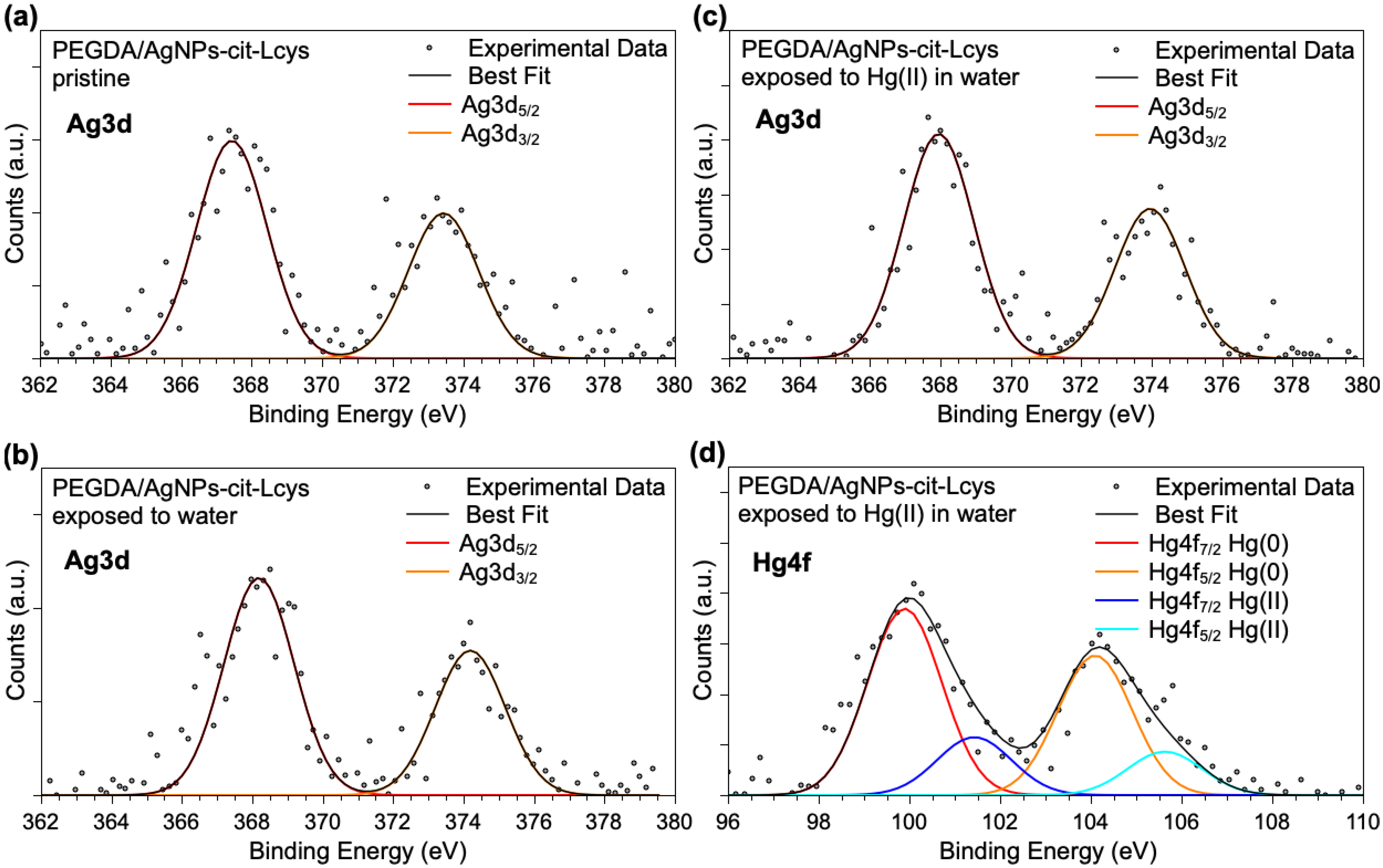 Polymers 16 01034 g004