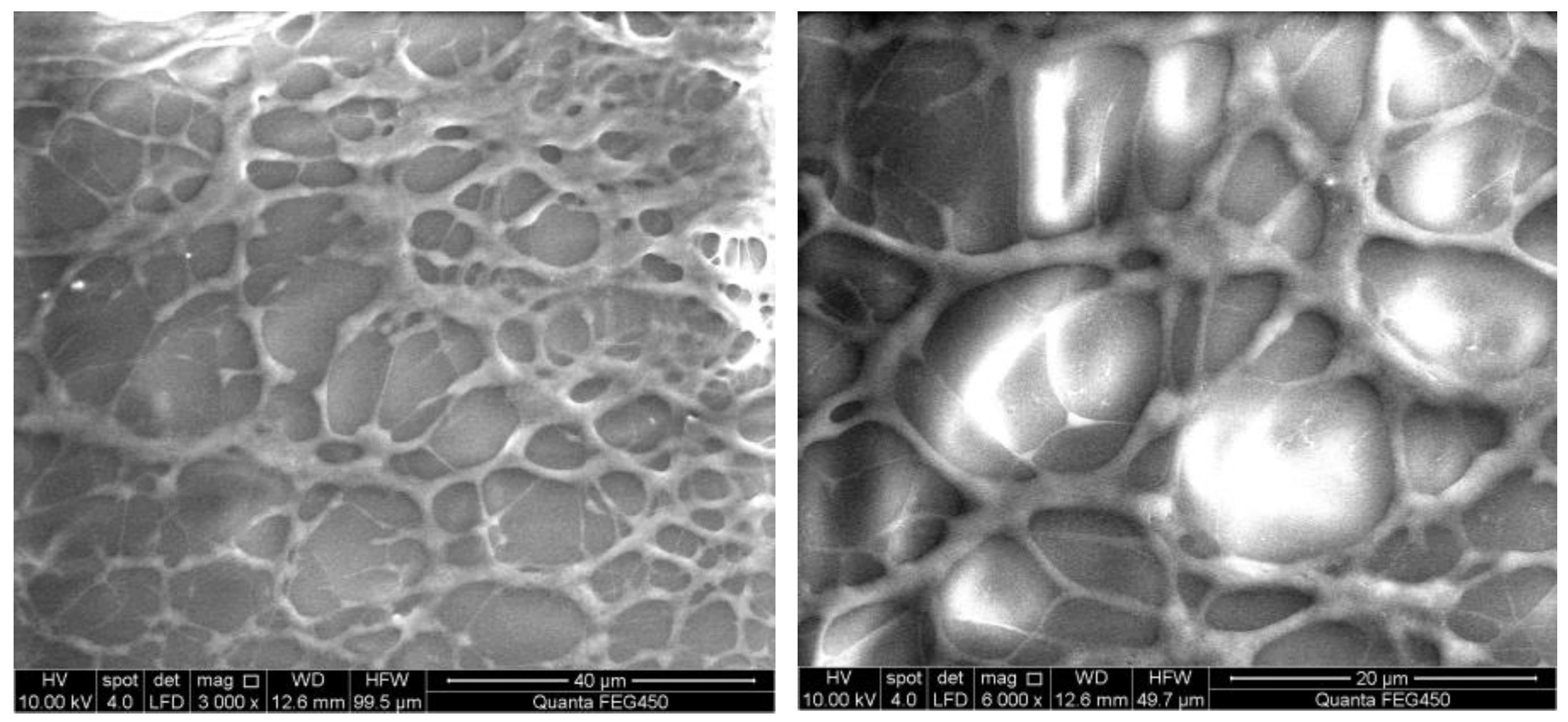 Polymers 16 01036 g004