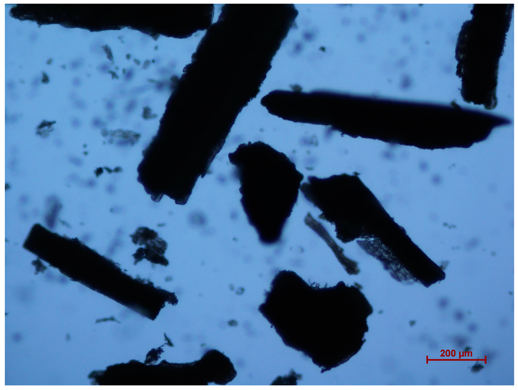 Polymers 16 01038 g002 Polymers 16 01038 g002