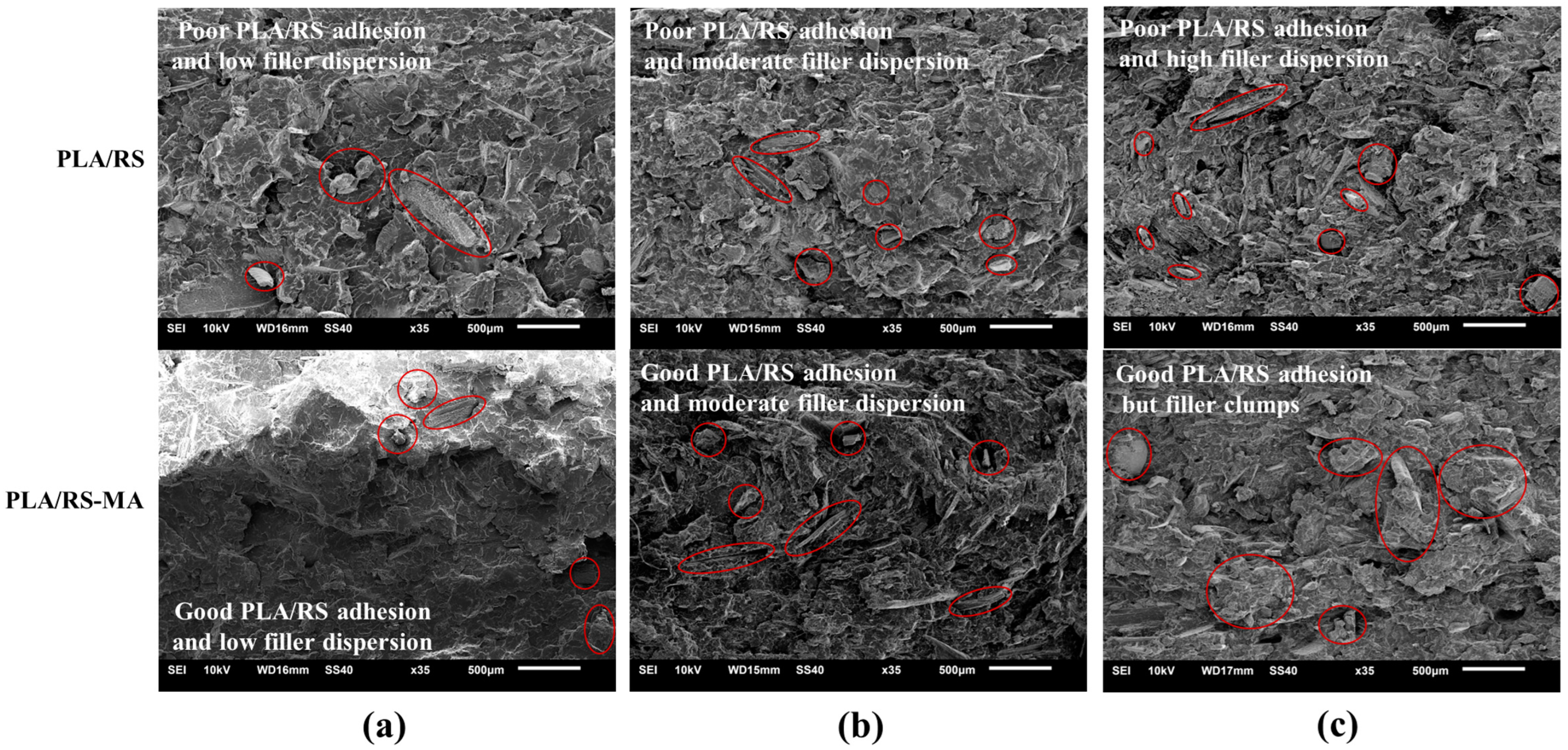 Polymers 16 01038 g006 Polymers 16 01038 g006