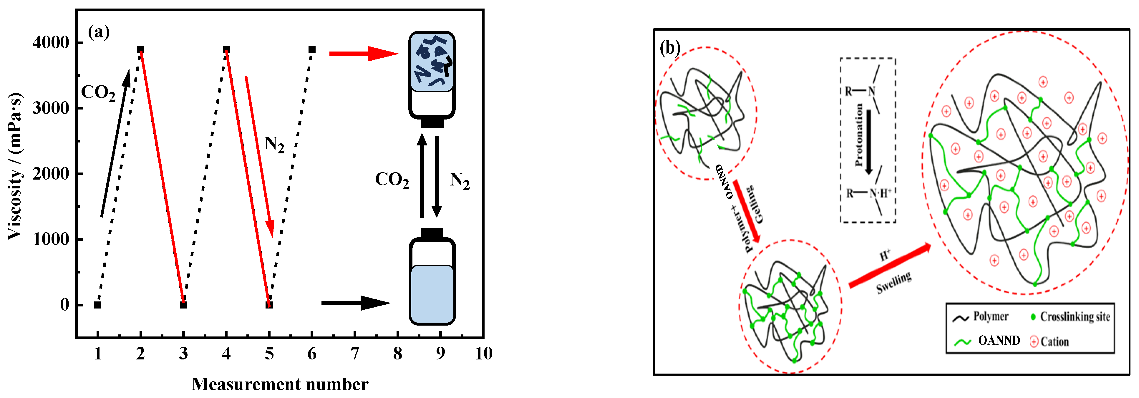 Polymers 16 01040 g005