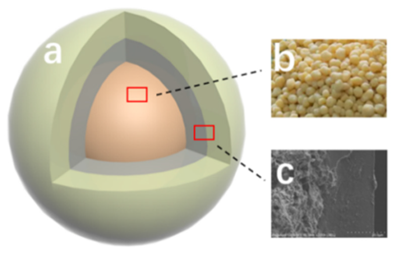 Polymers 16 01041 g008