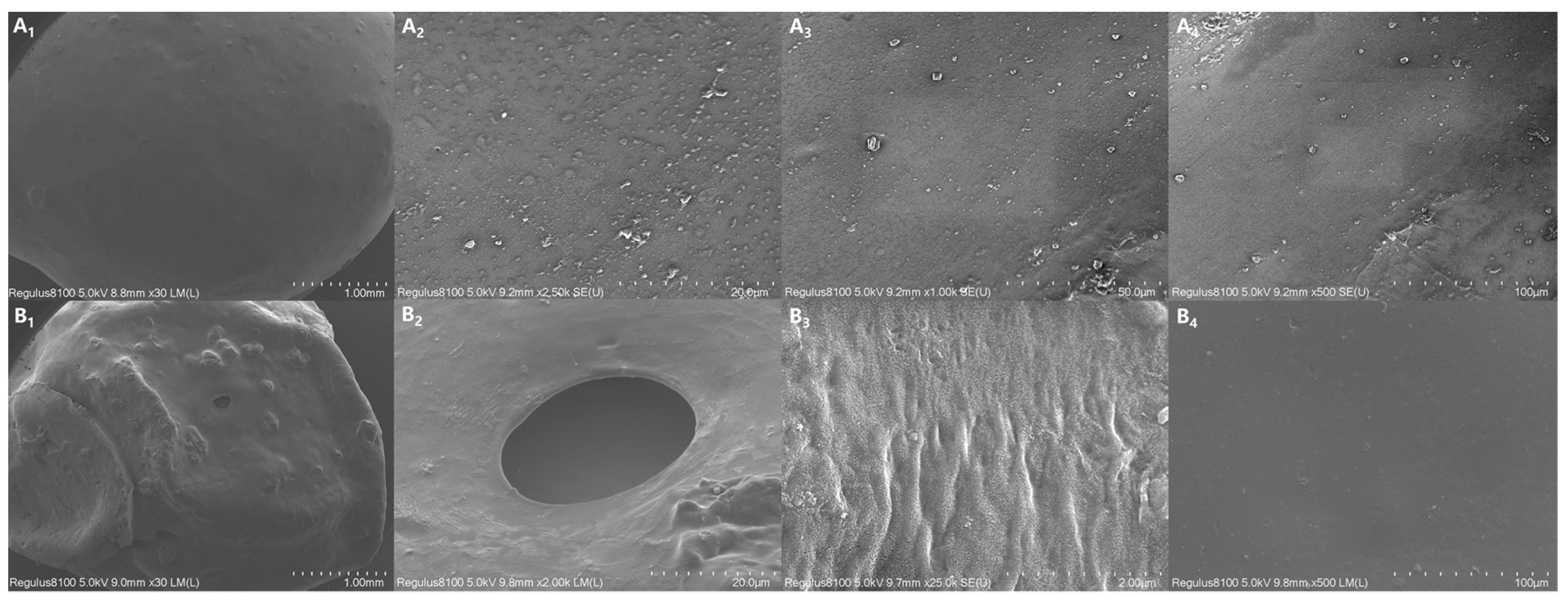 Polymers 16 01041 g009