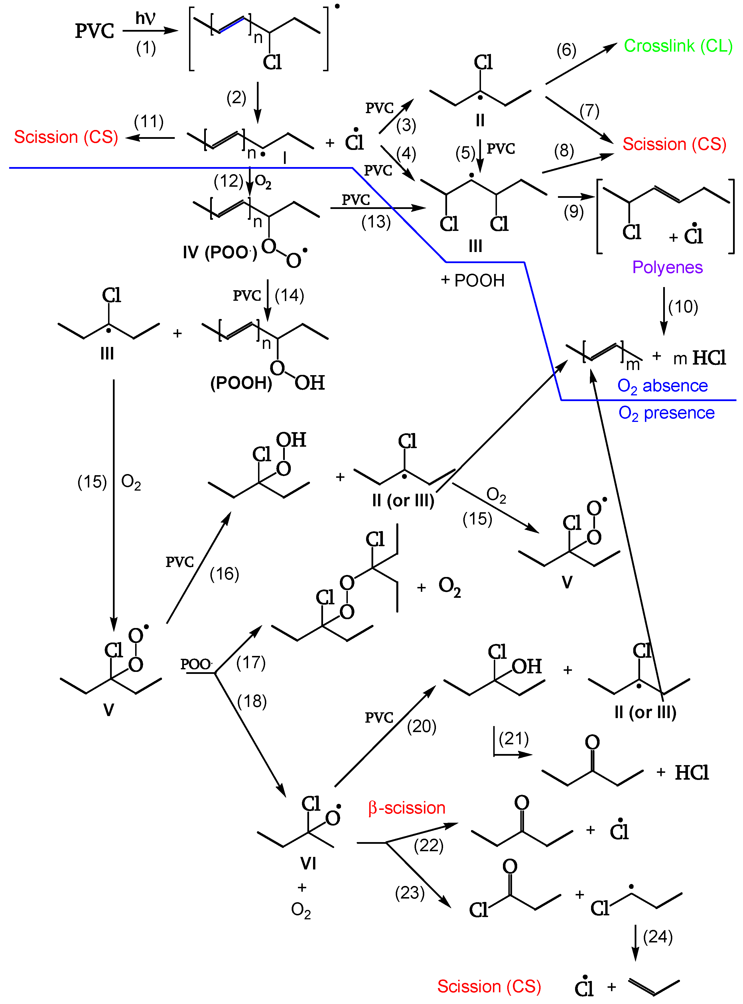 Polymers 16 01047 g001