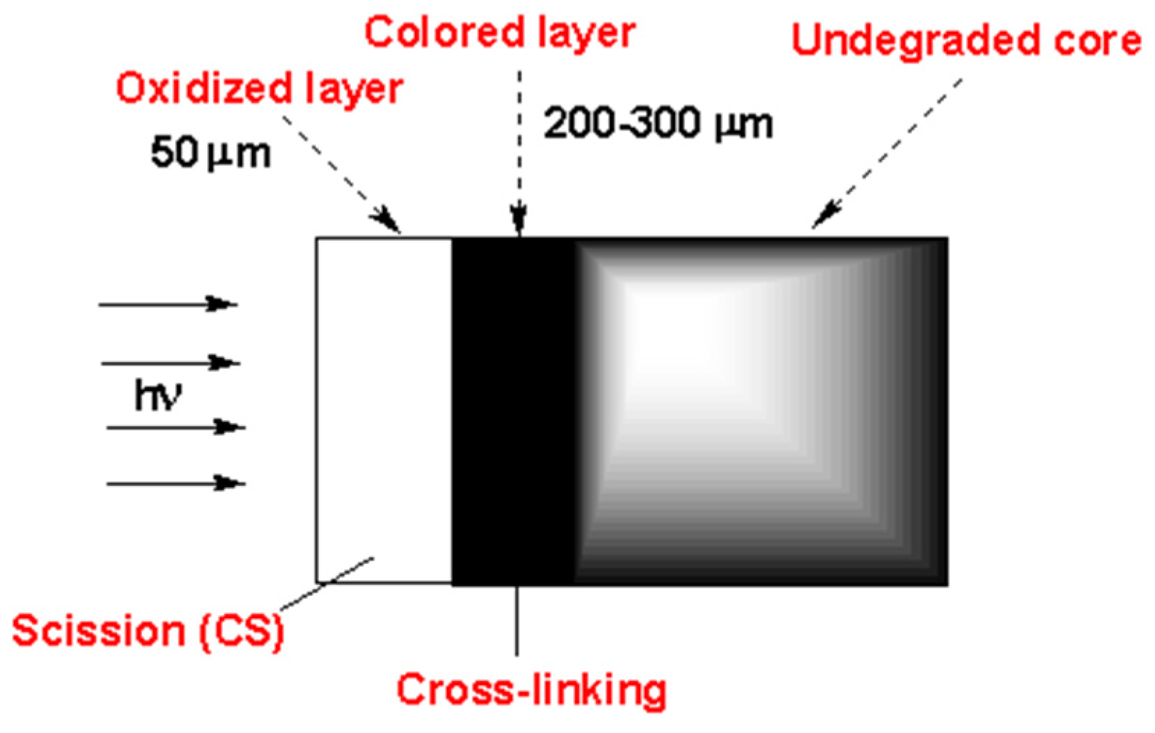 Polymers 16 01047 g020