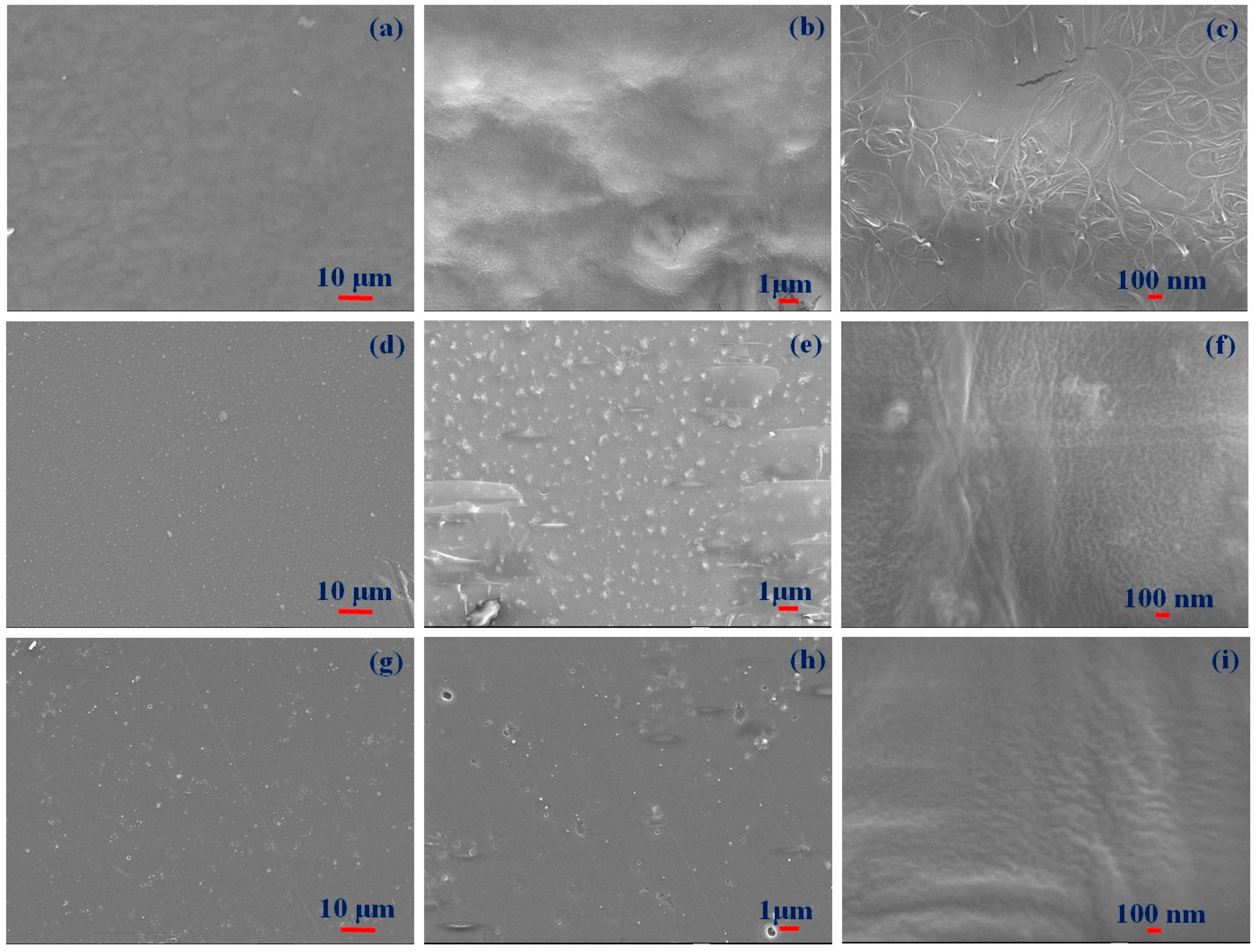 Polymers 16 01048 g003