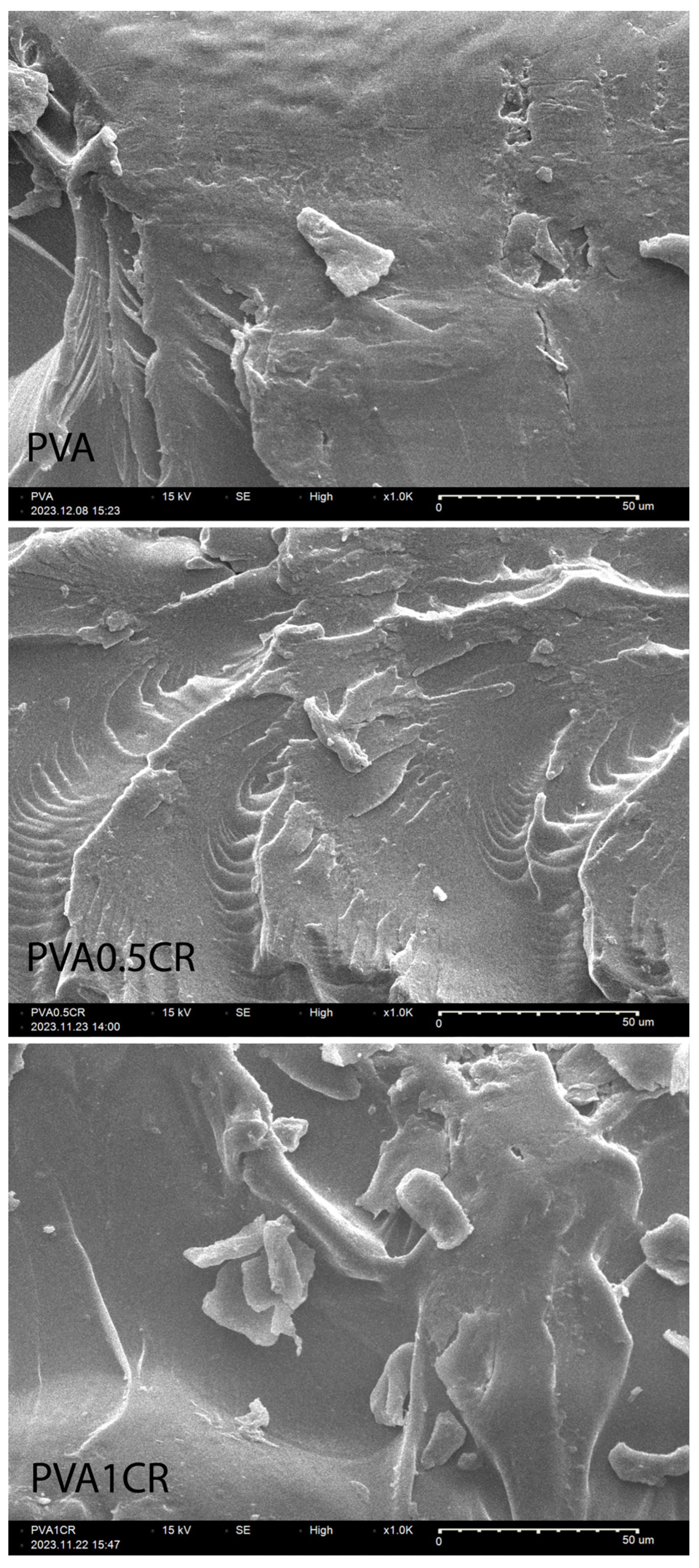 Polymers 16 01050 g006