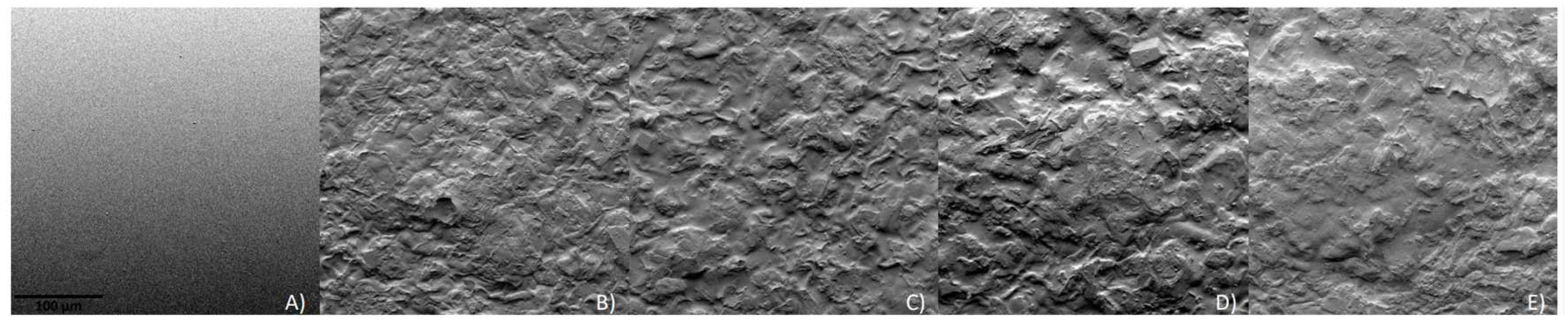 Polymers 16 01053 g004