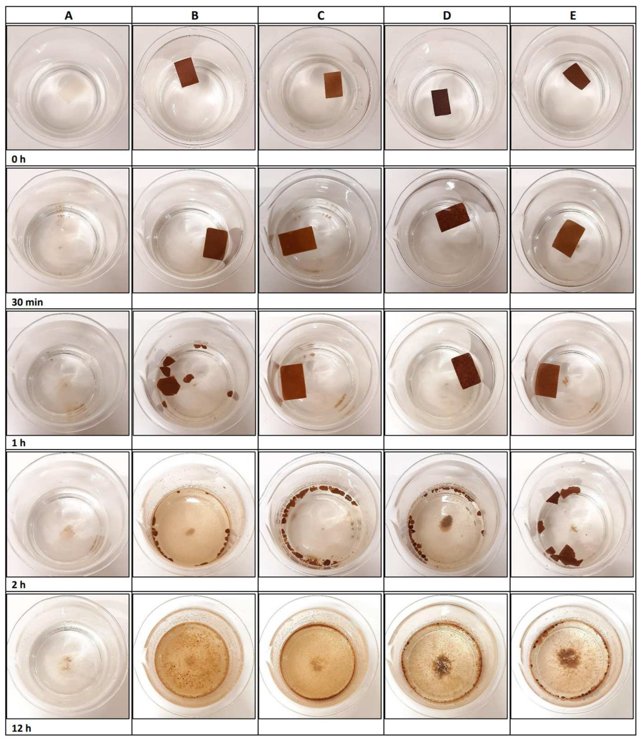 Polymers 16 01053 g005