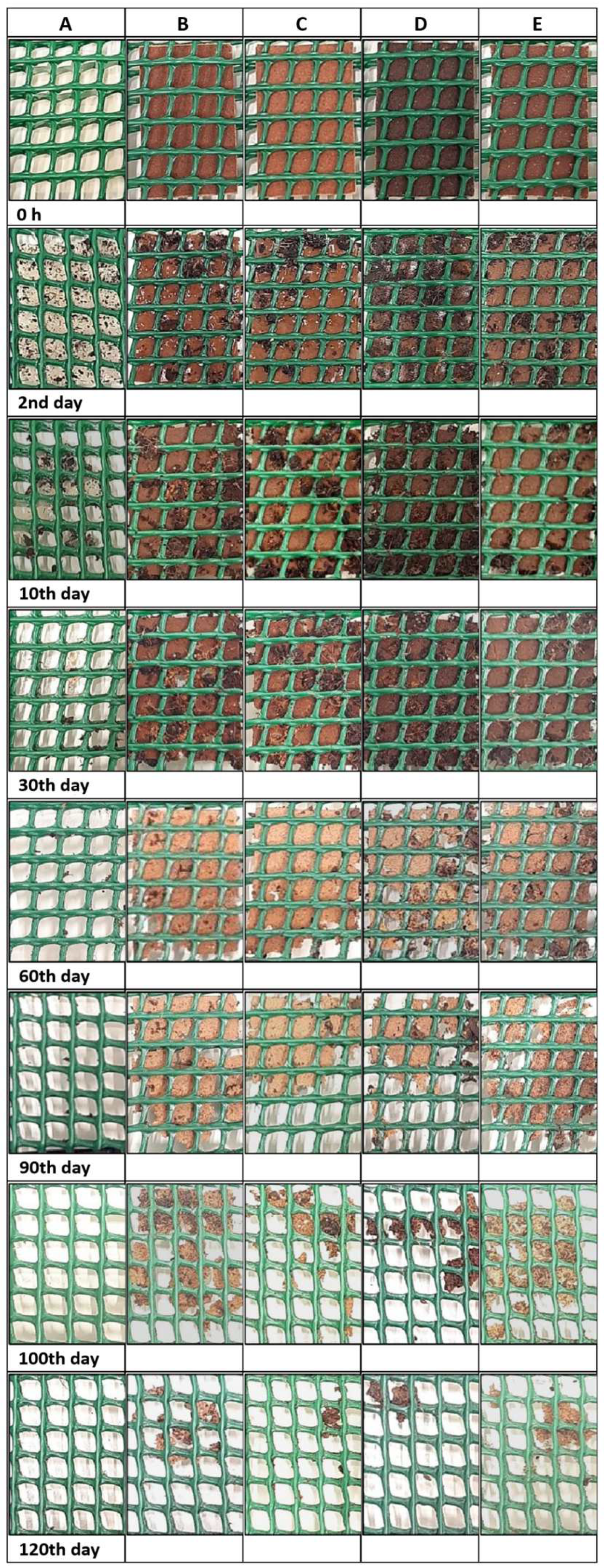 Polymers 16 01053 g006
