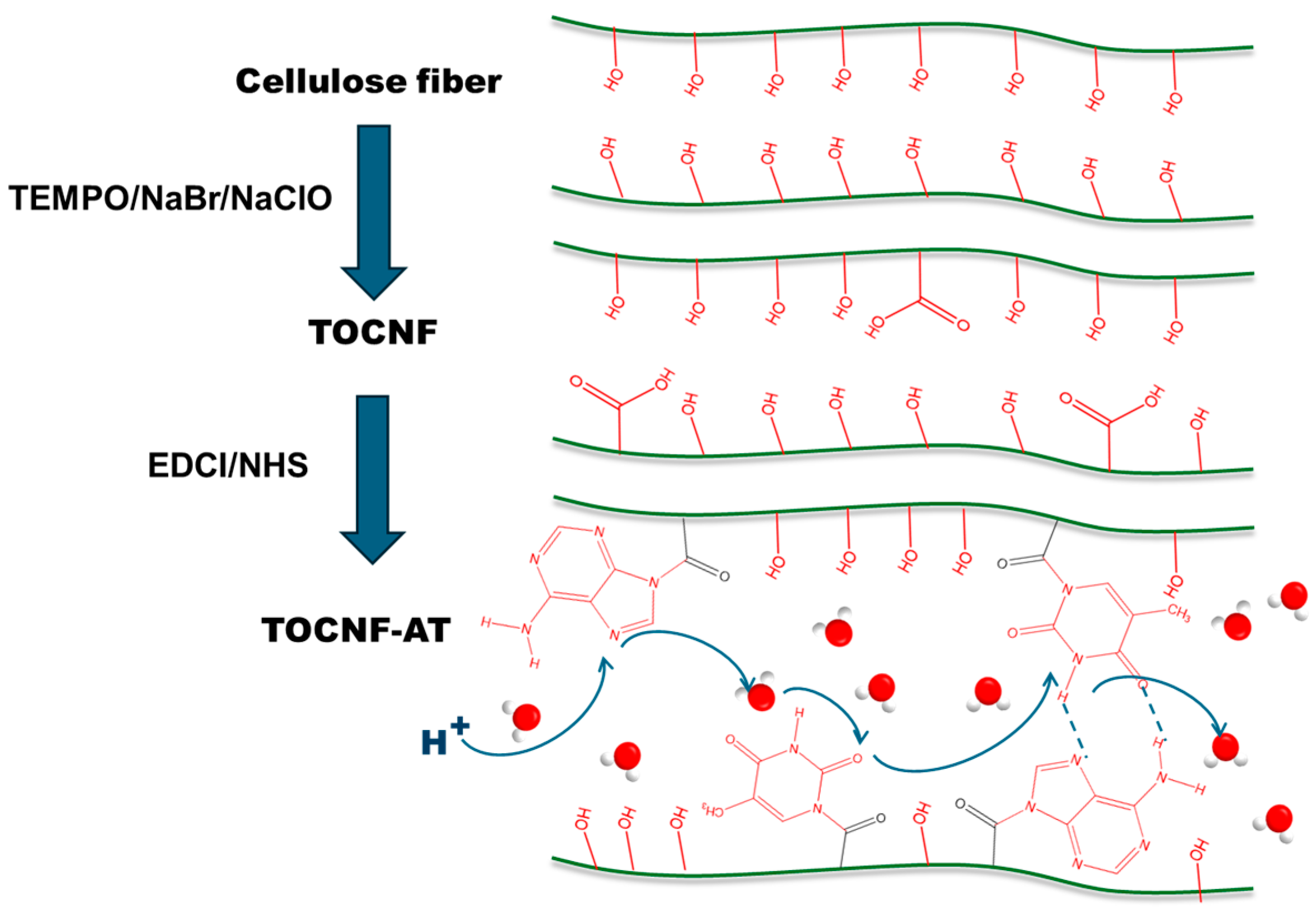 Polymers 16 01060 g001