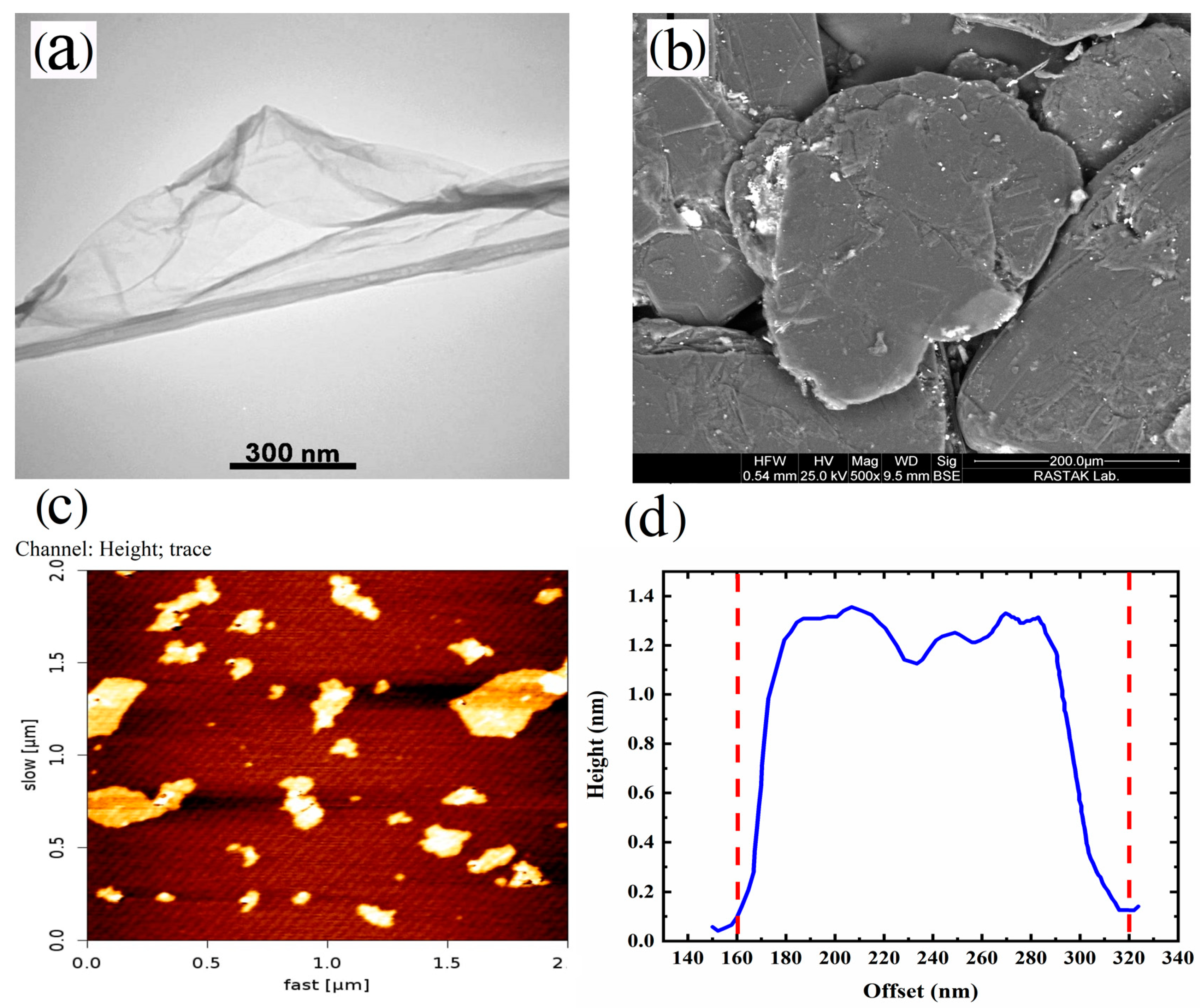 Polymers 16 01061 g002