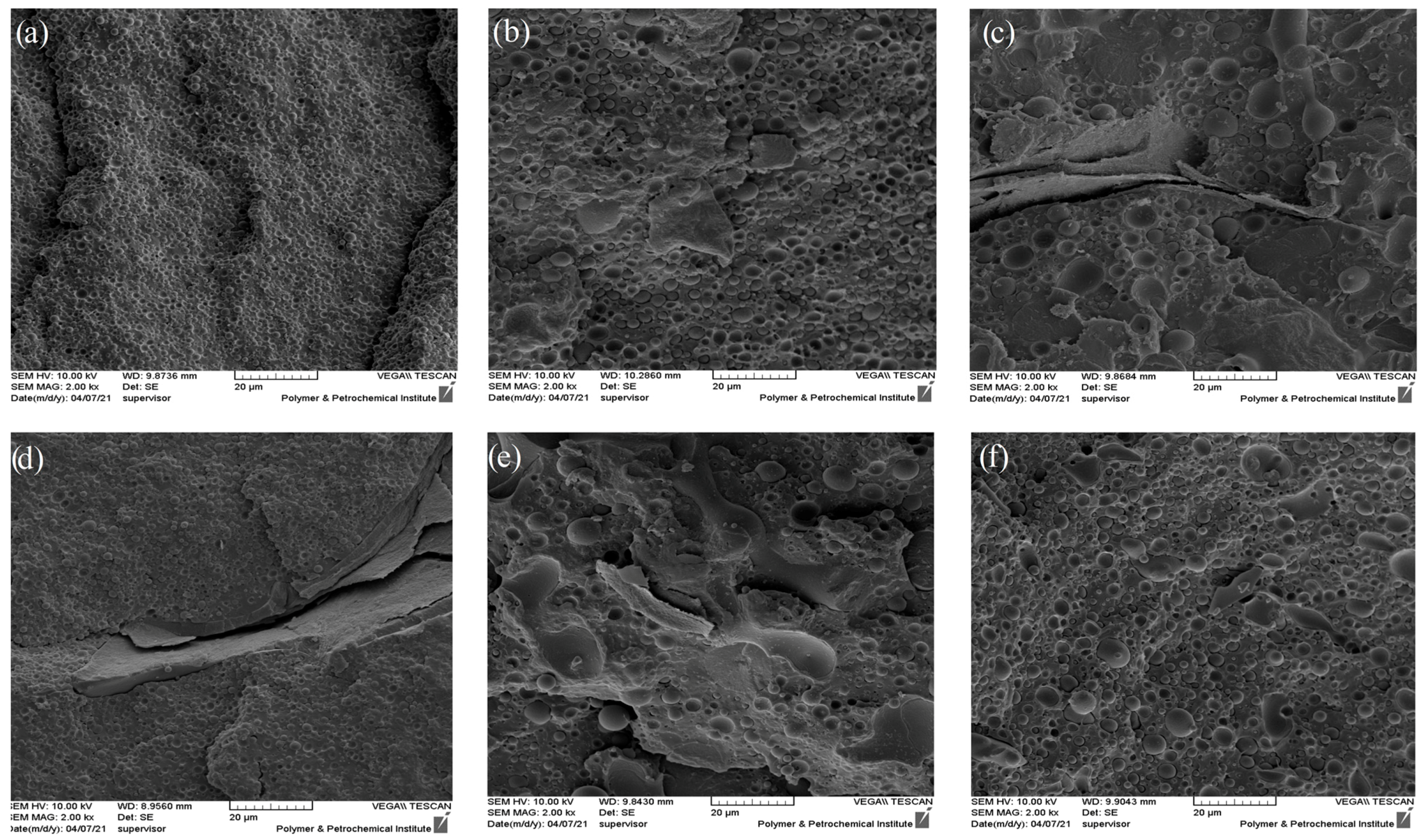 Polymers 16 01061 g003