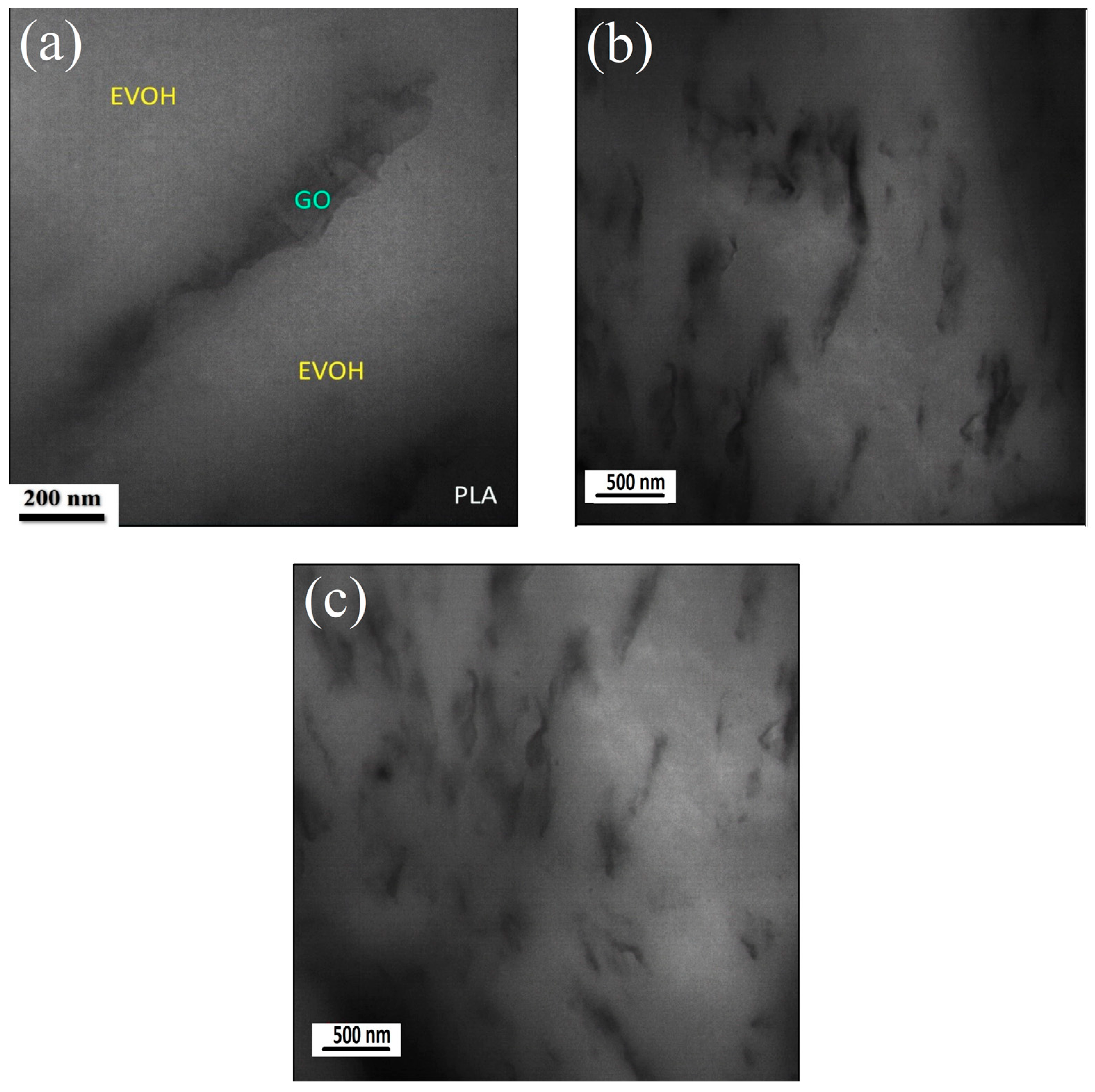 Polymers 16 01061 g005