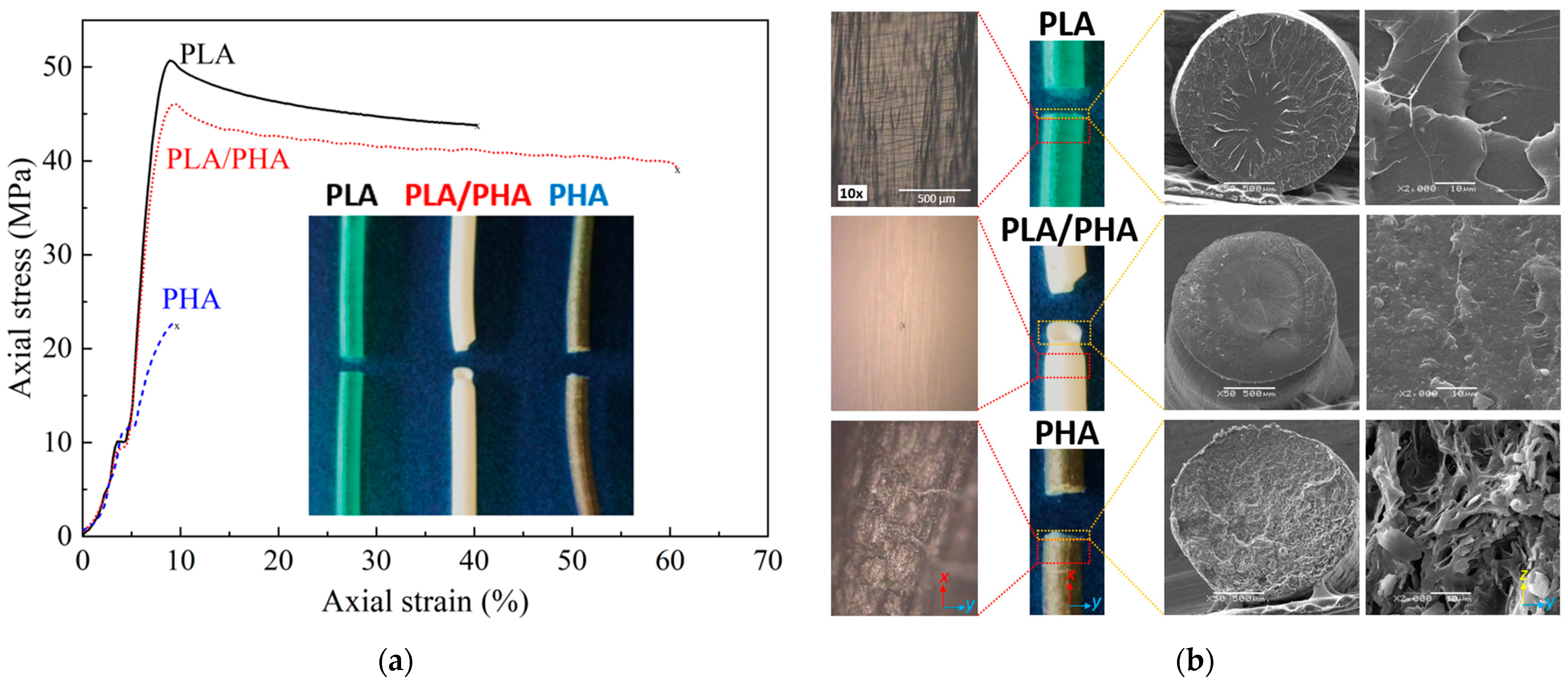 Polymers 16 01062 g010