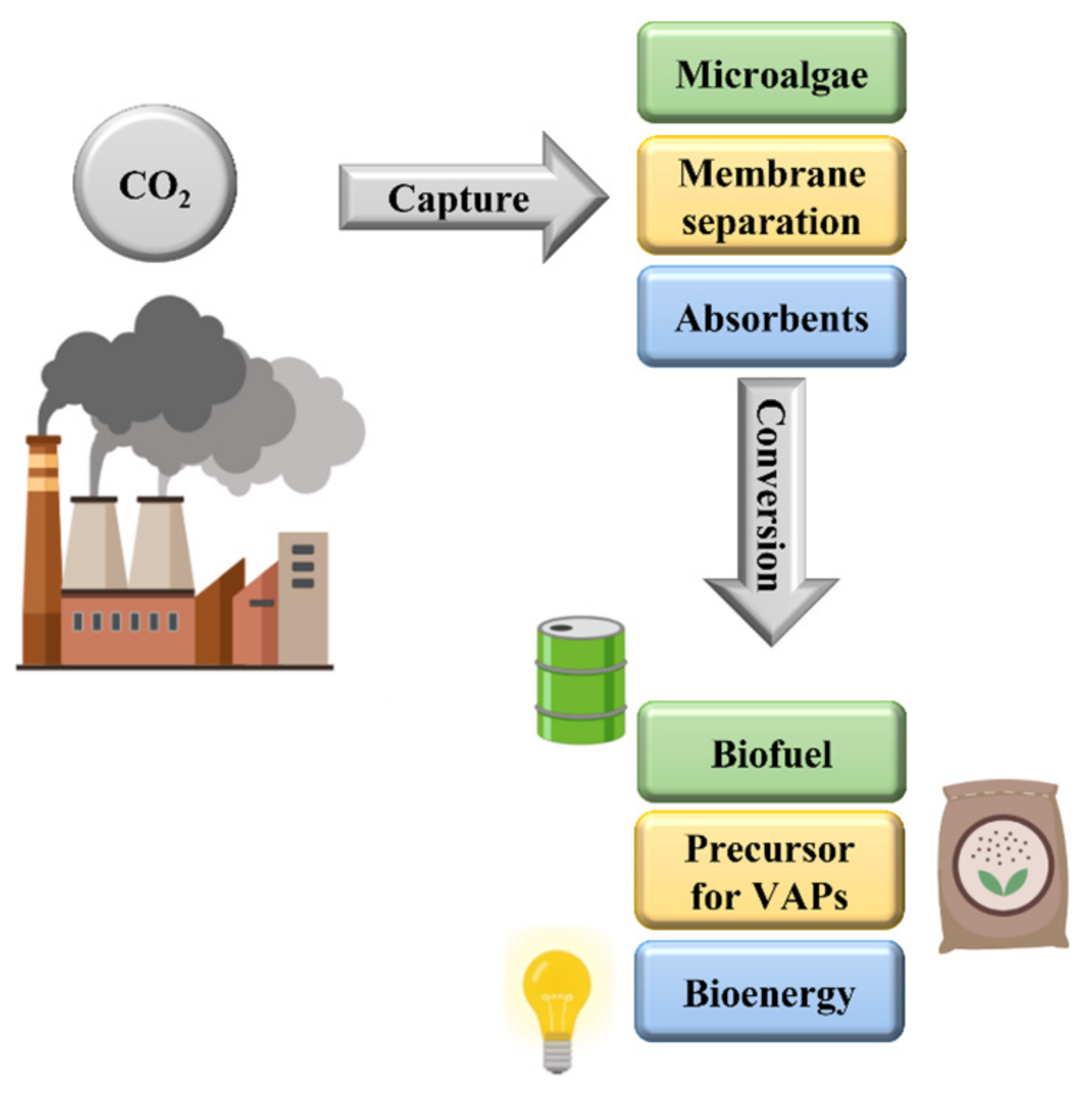Polymers 16 01063 g001