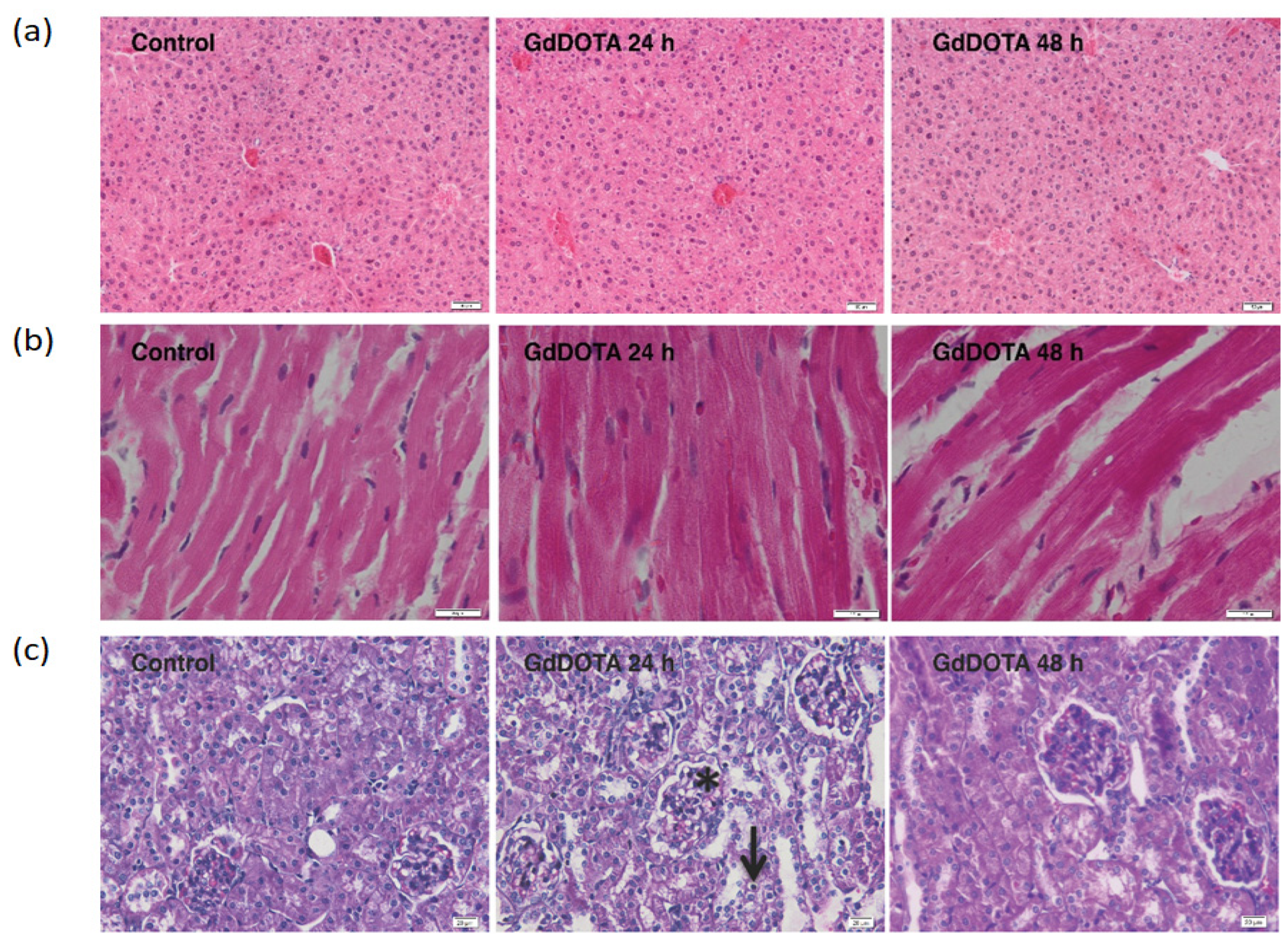 Polymers 16 01064 g002