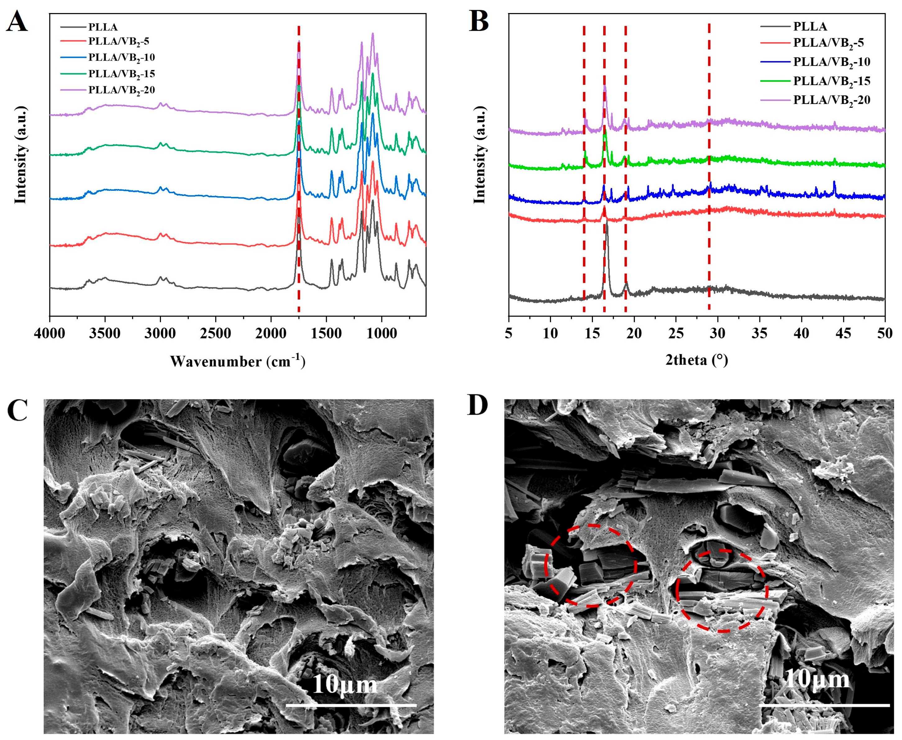 Polymers 16 01071 g001