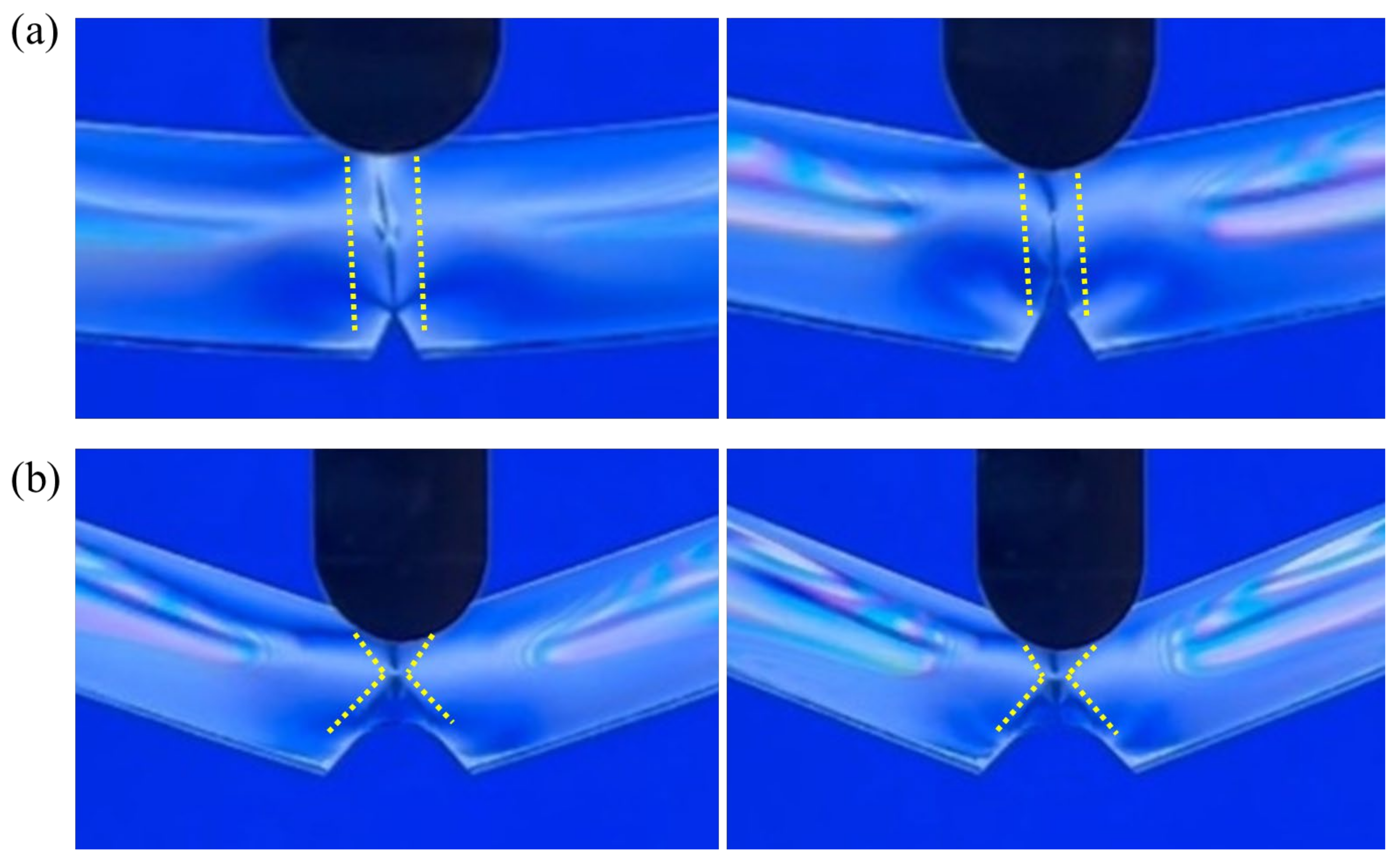 Polymers 16 01072 g010