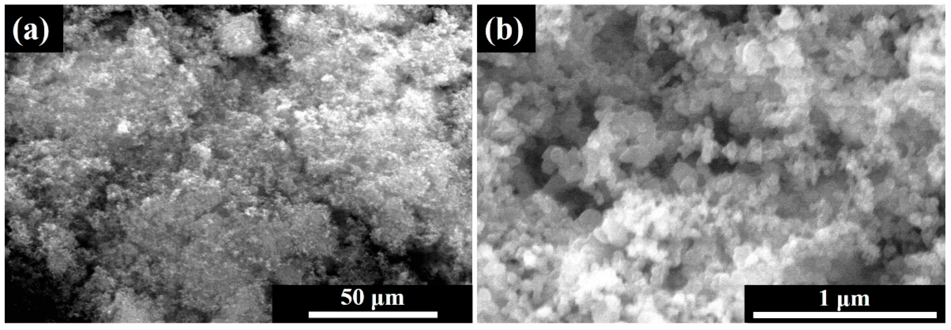 Polymers 16 01074 g002