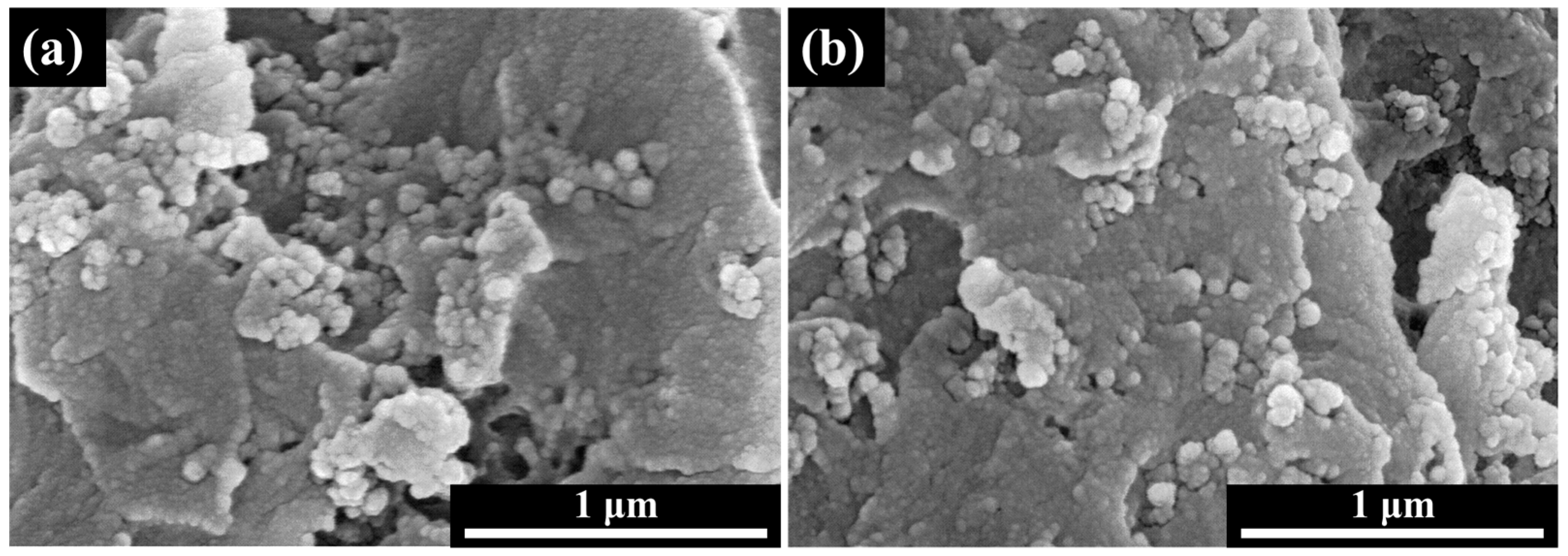 Polymers 16 01074 g005