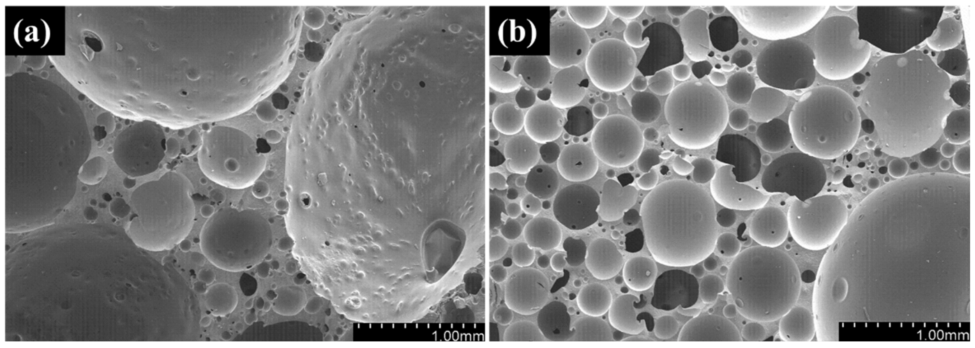Polymers 16 01074 g007