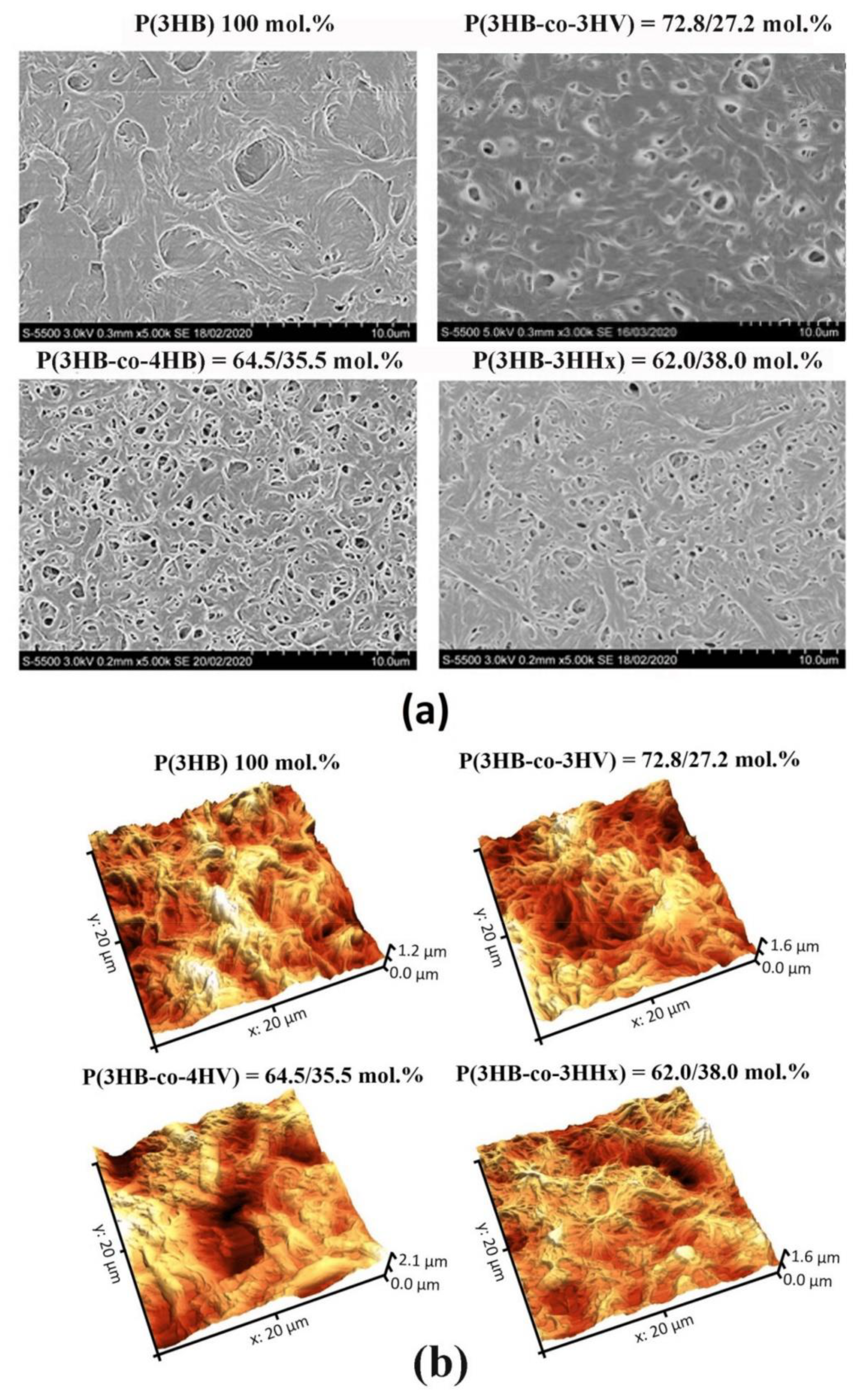 Polymers 16 01075 g001