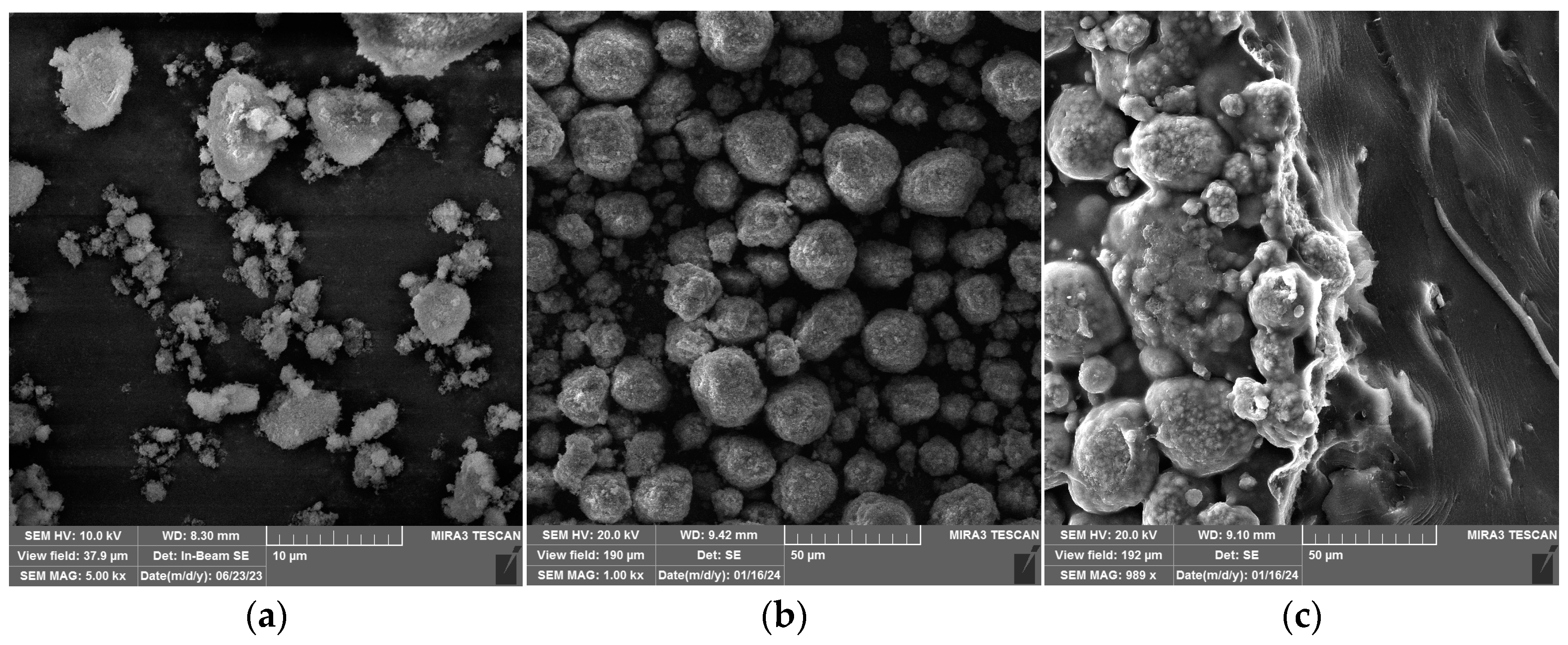 Polymers 16 01077 g005a