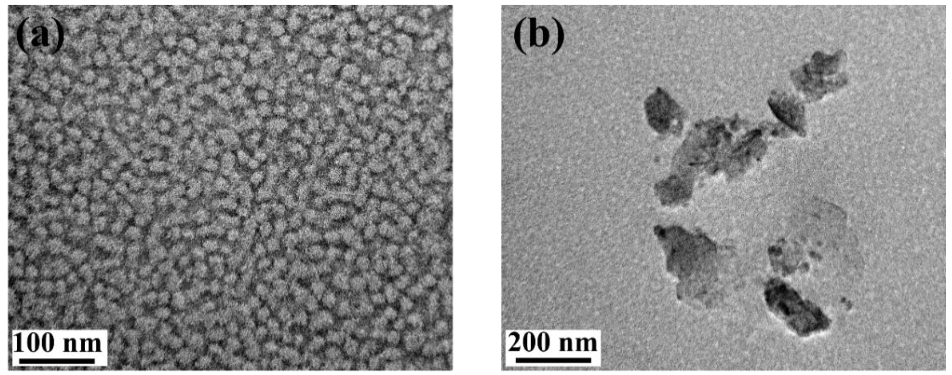 Polymers 16 01082 g007