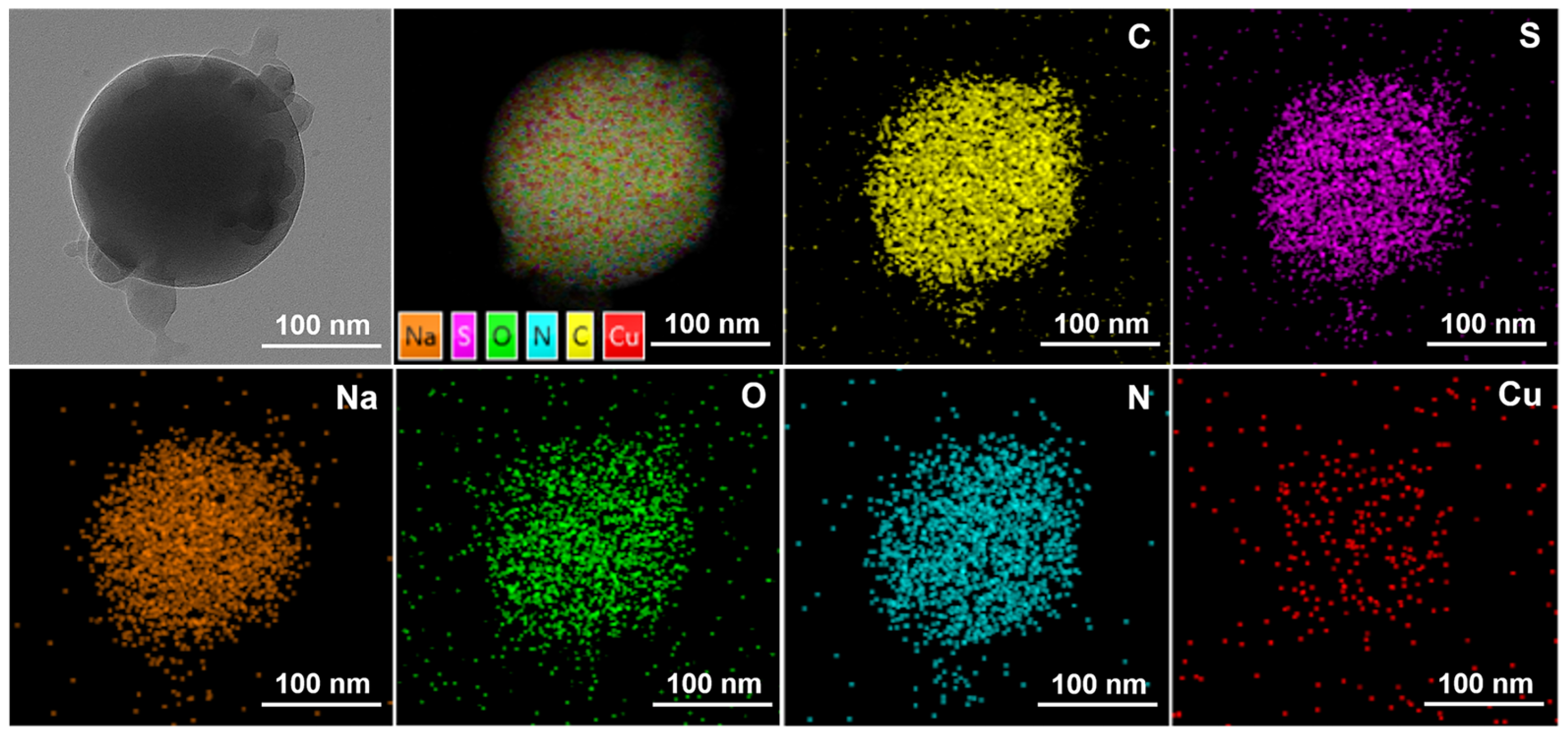 Polymers 16 01085 g007