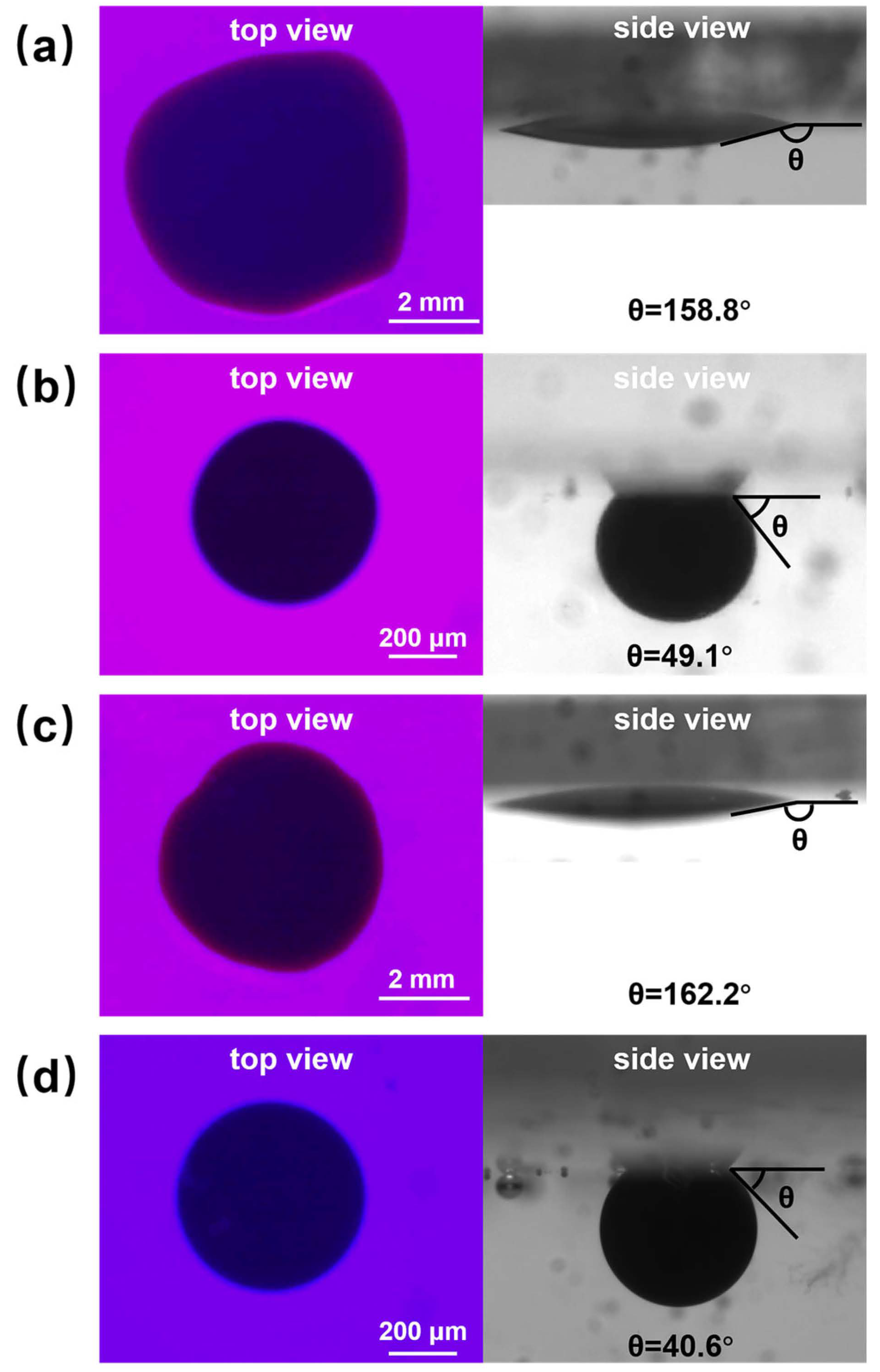 Polymers 16 01085 g009