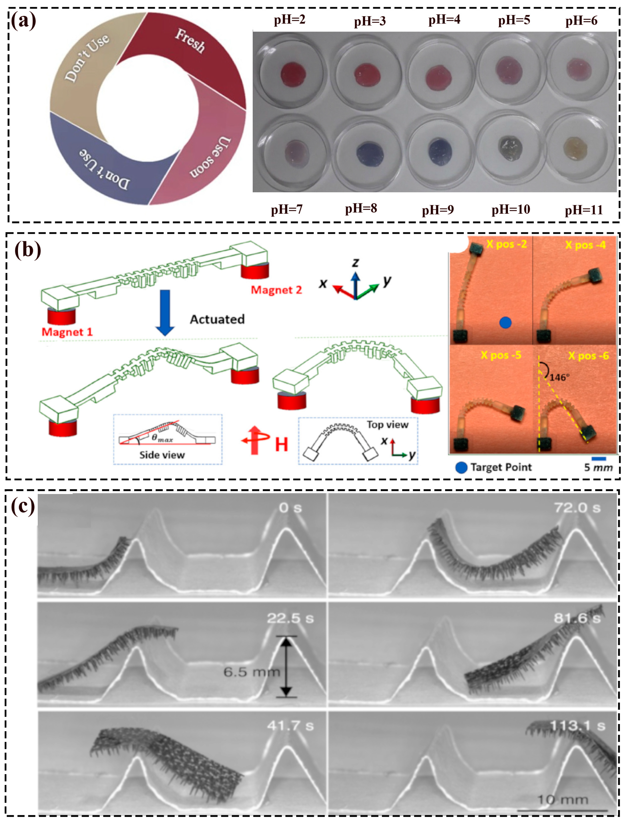 Polymers 16 01087 g002