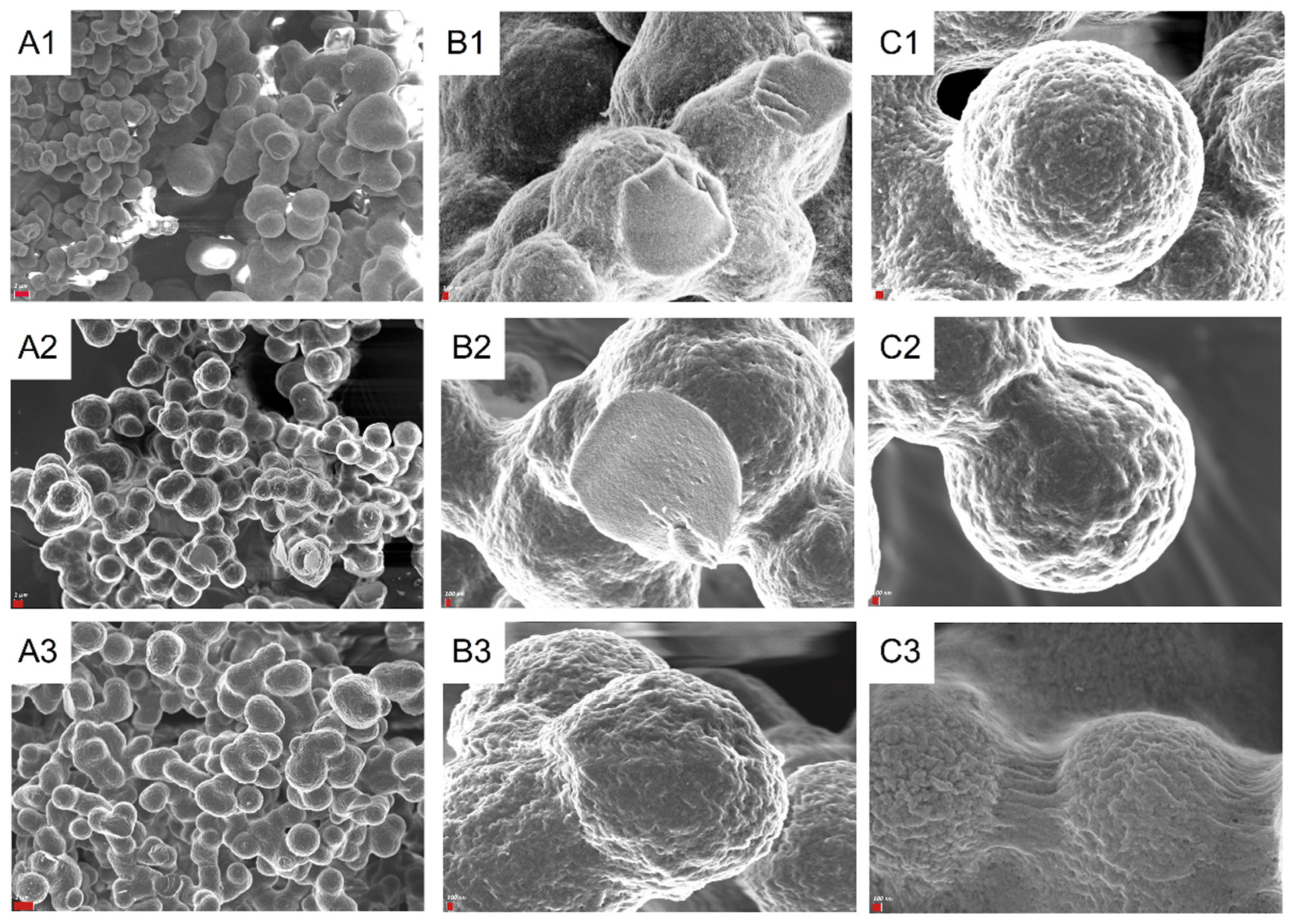 Polymers 16 01090 g002