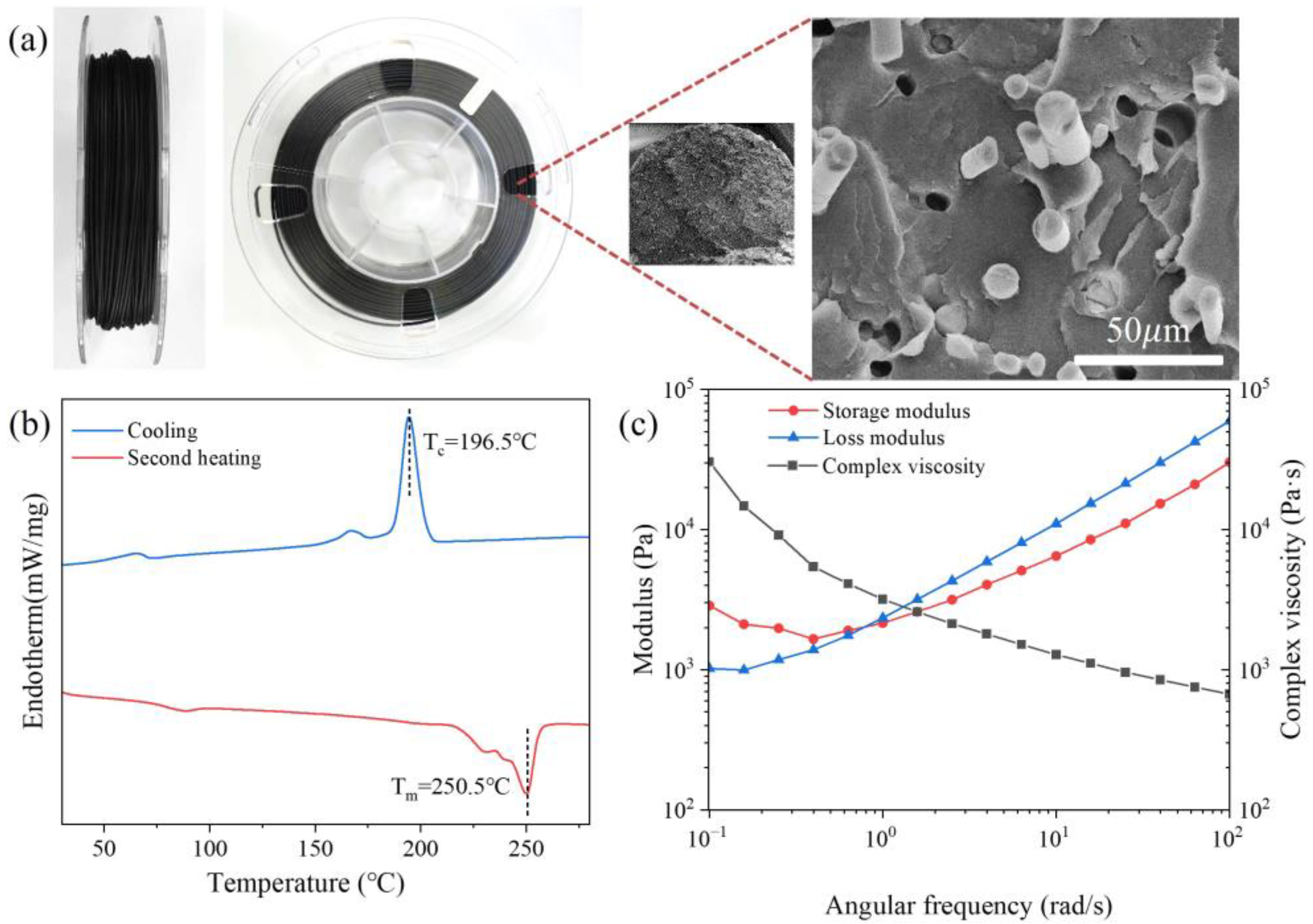 Polymers 16 01091 g002