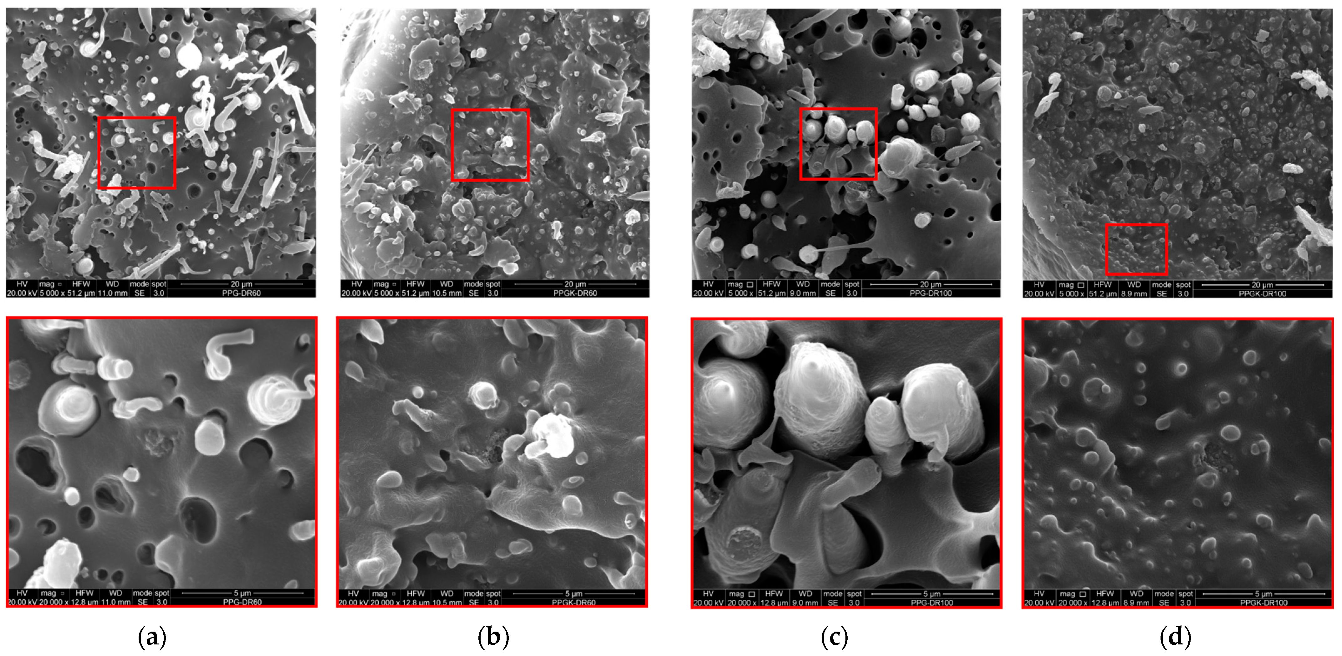 Polymers 16 01092 g007