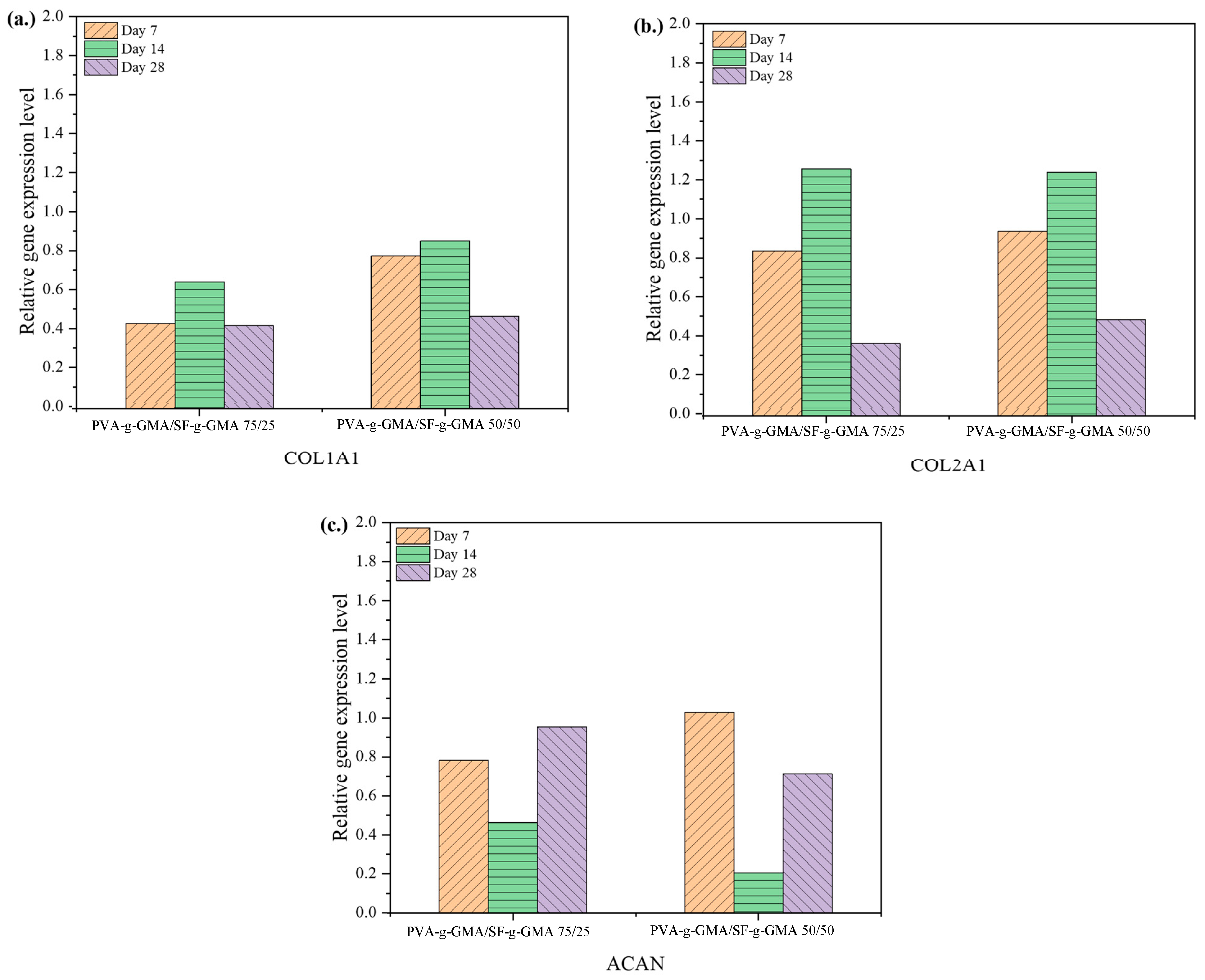 Polymers 16 01093 g012