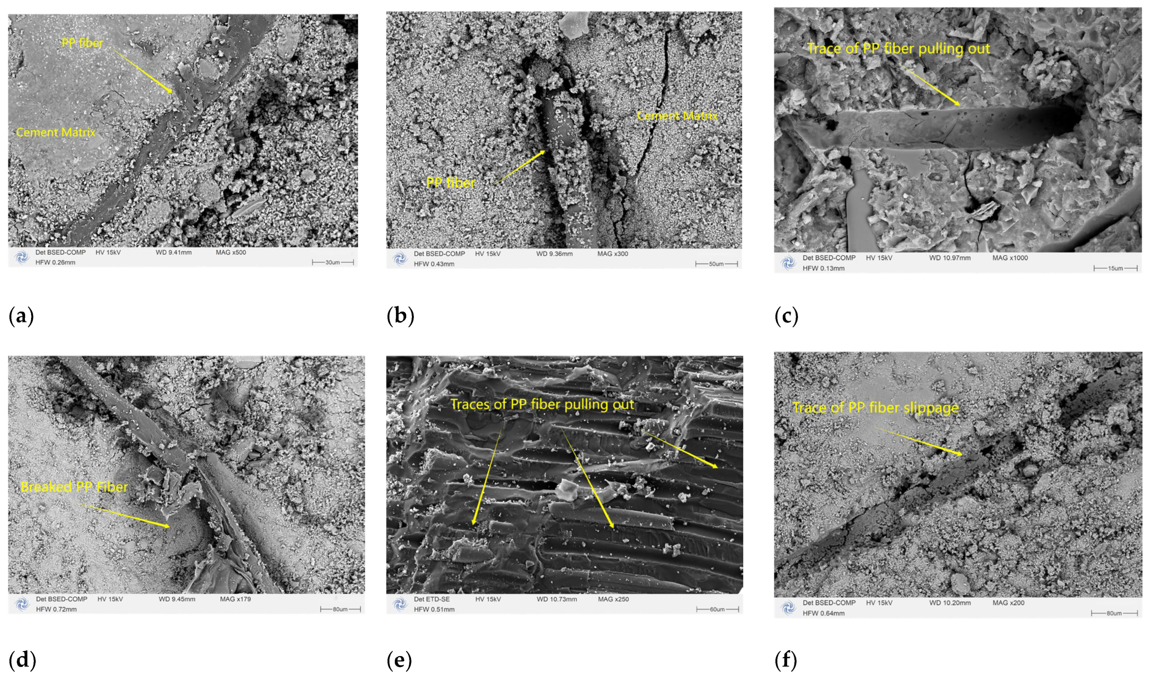 Polymers 16 01096 g011