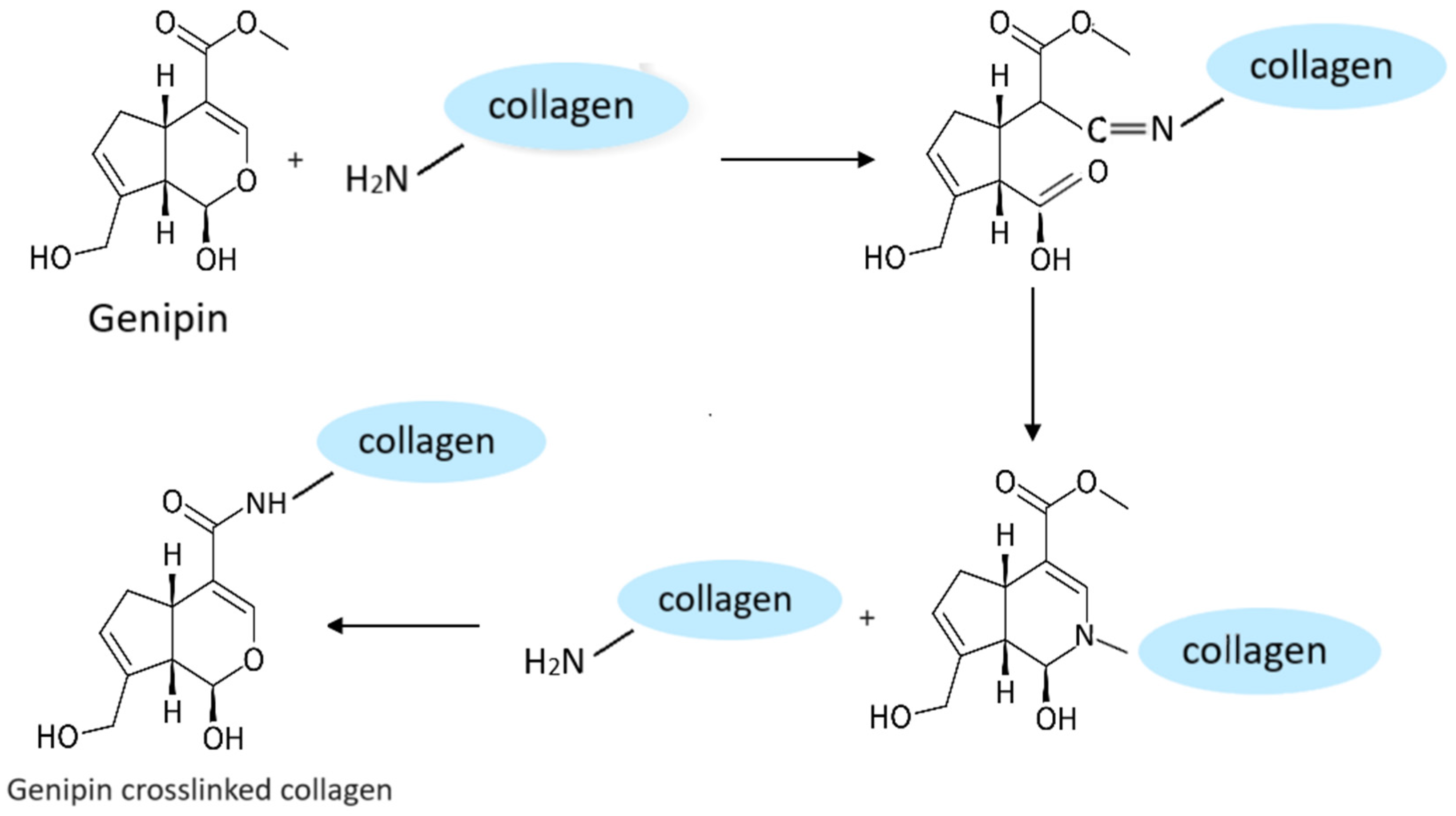 Polymers 16 01098 g002