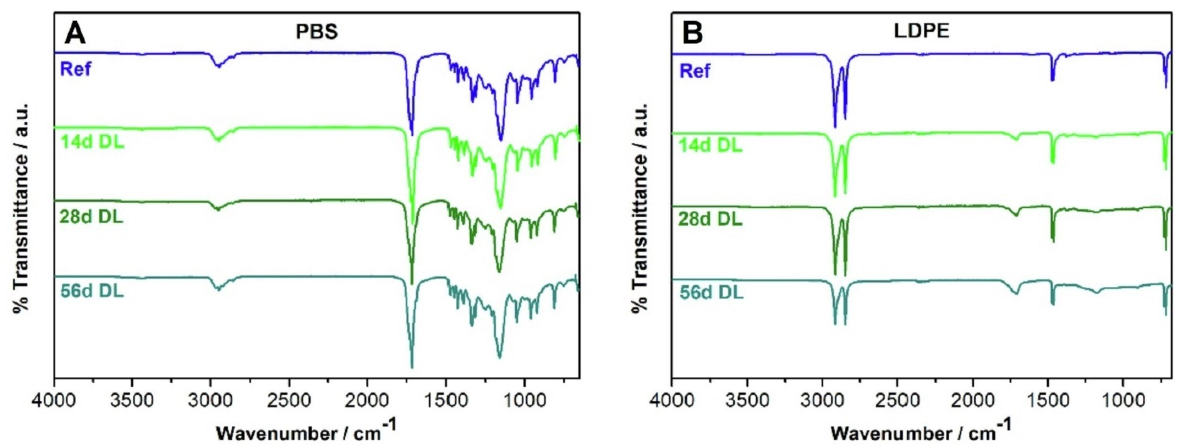 Polymers 16 01103 g005