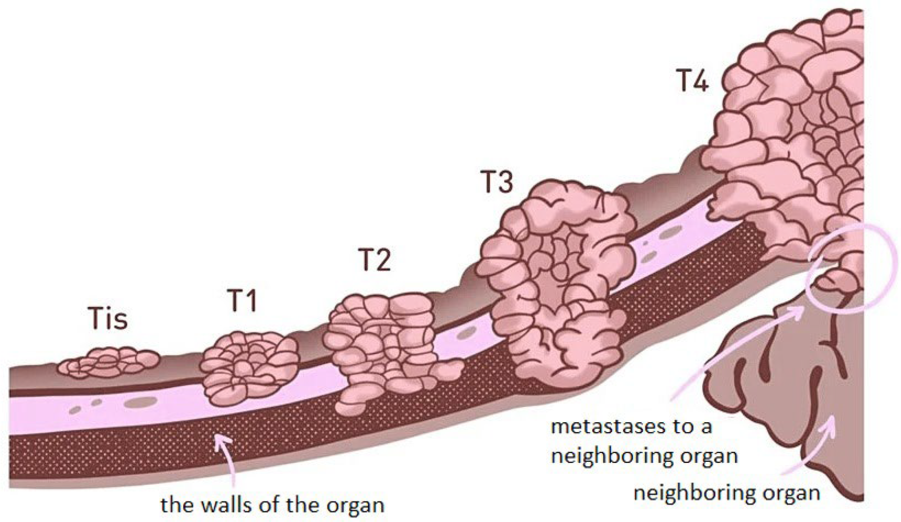 Polymers 16 01105 g001