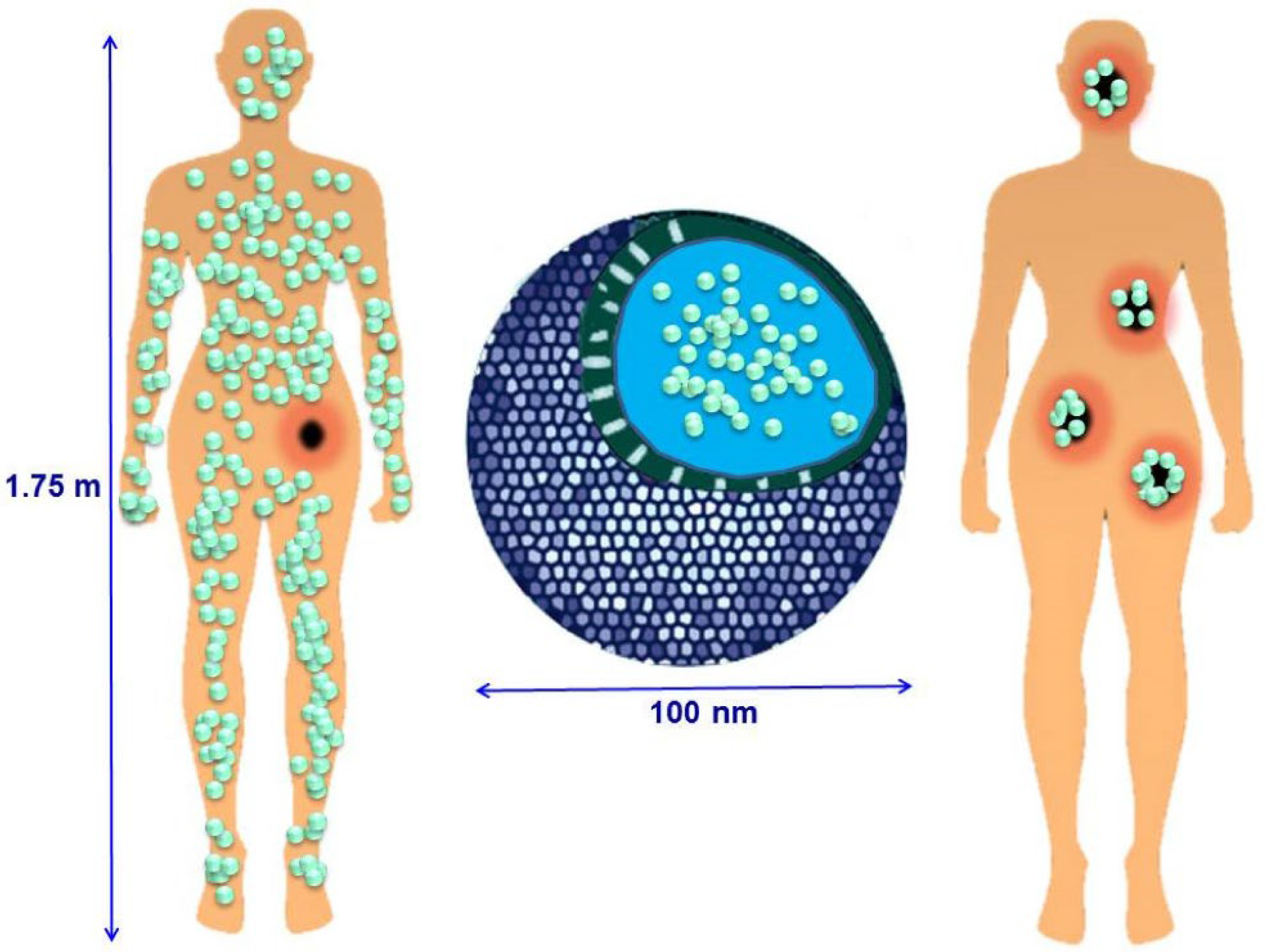 Polymers 16 01105 g002