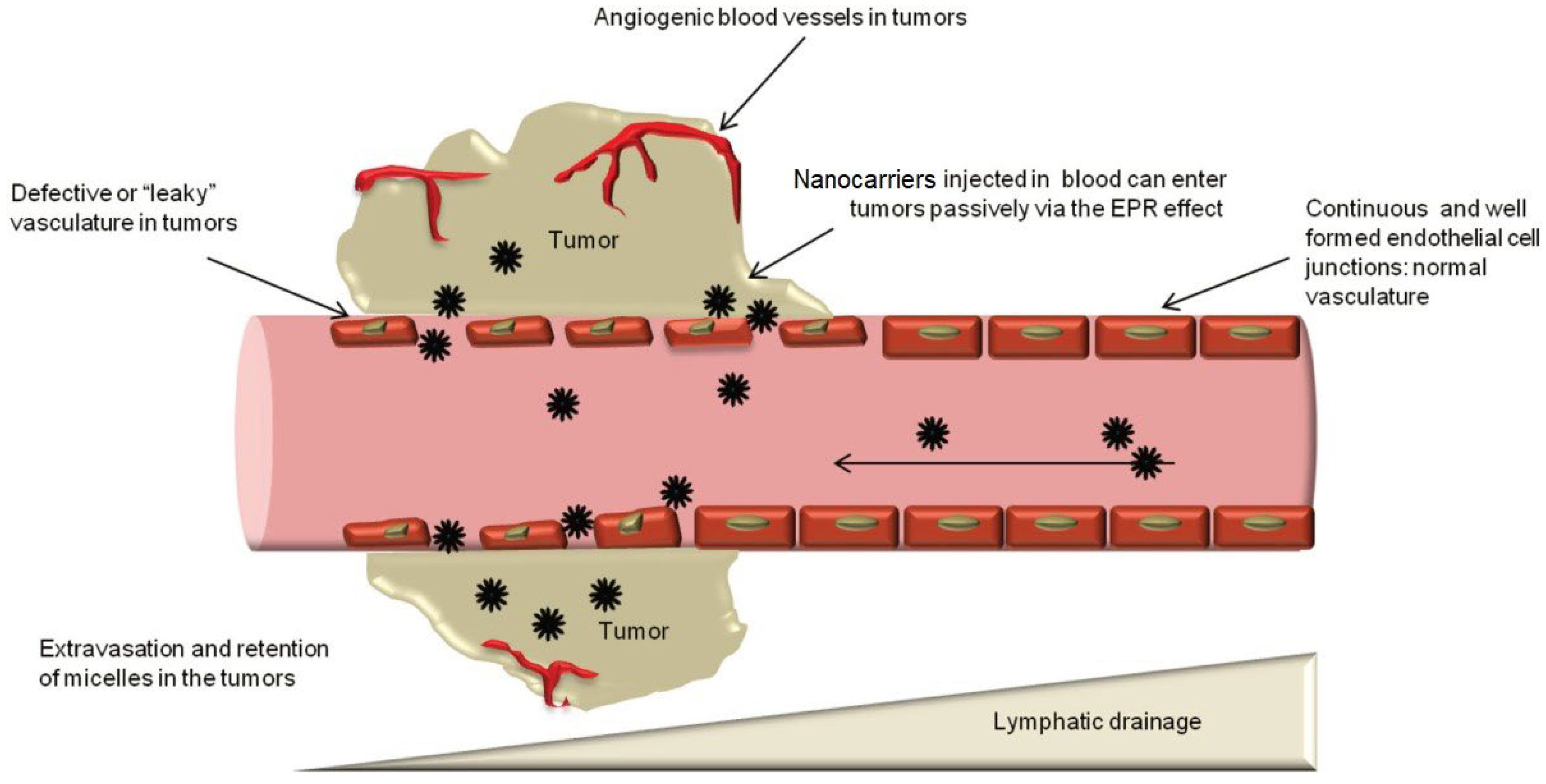 Polymers 16 01105 g003