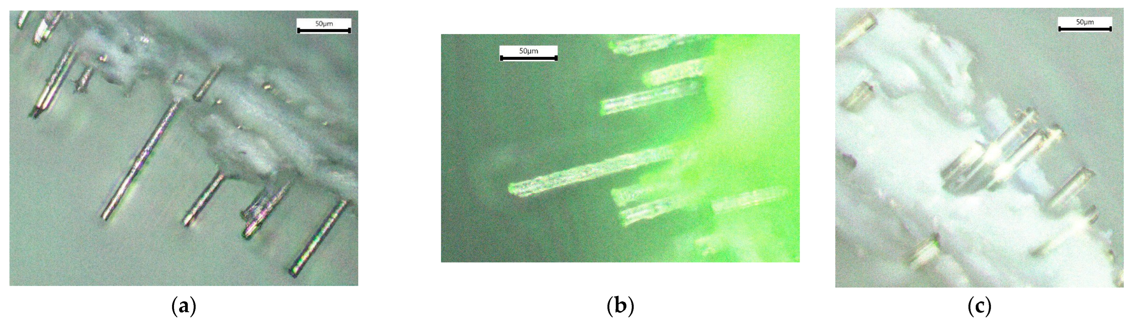 Polymers 16 01106 g001