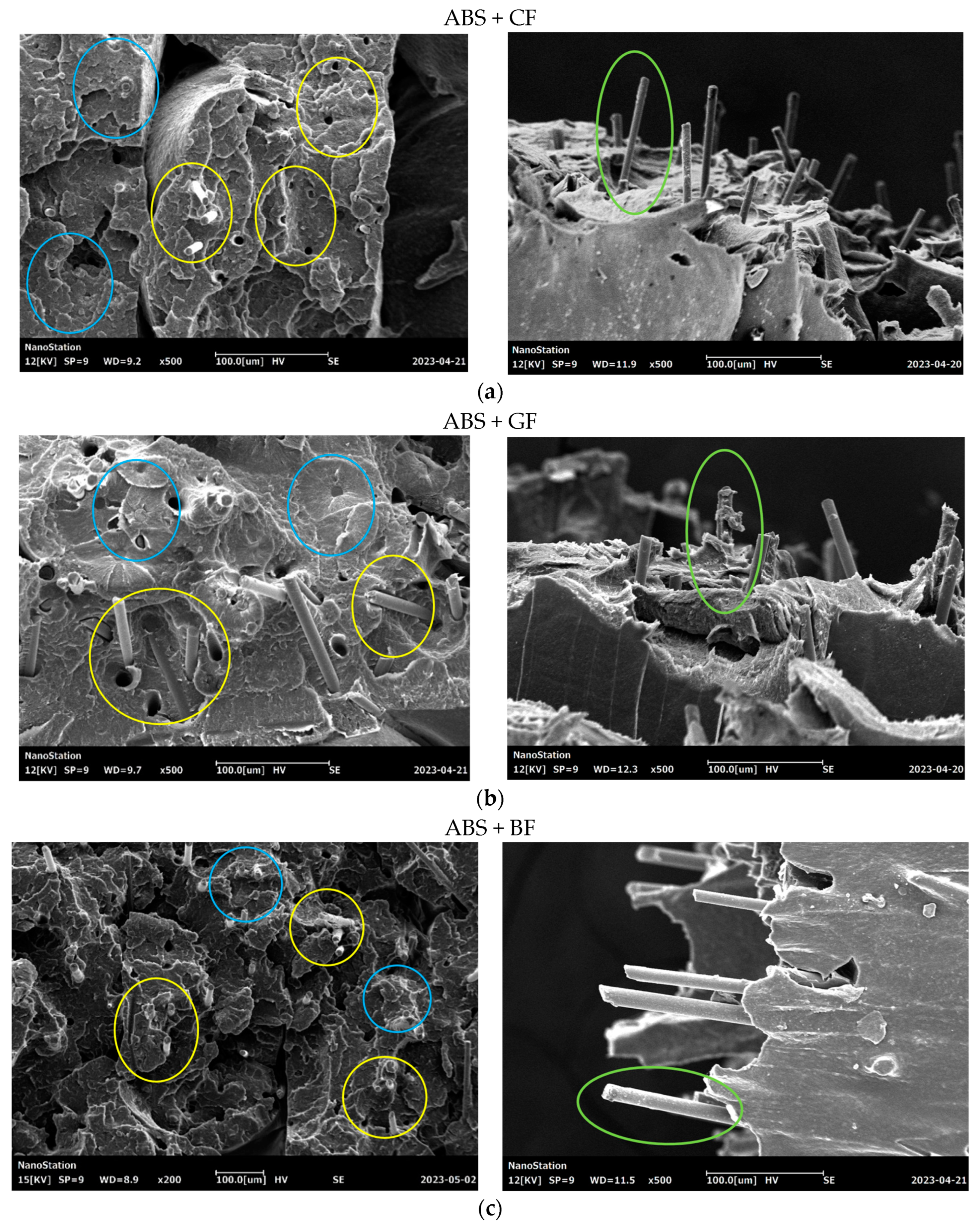 Polymers 16 01106 g010