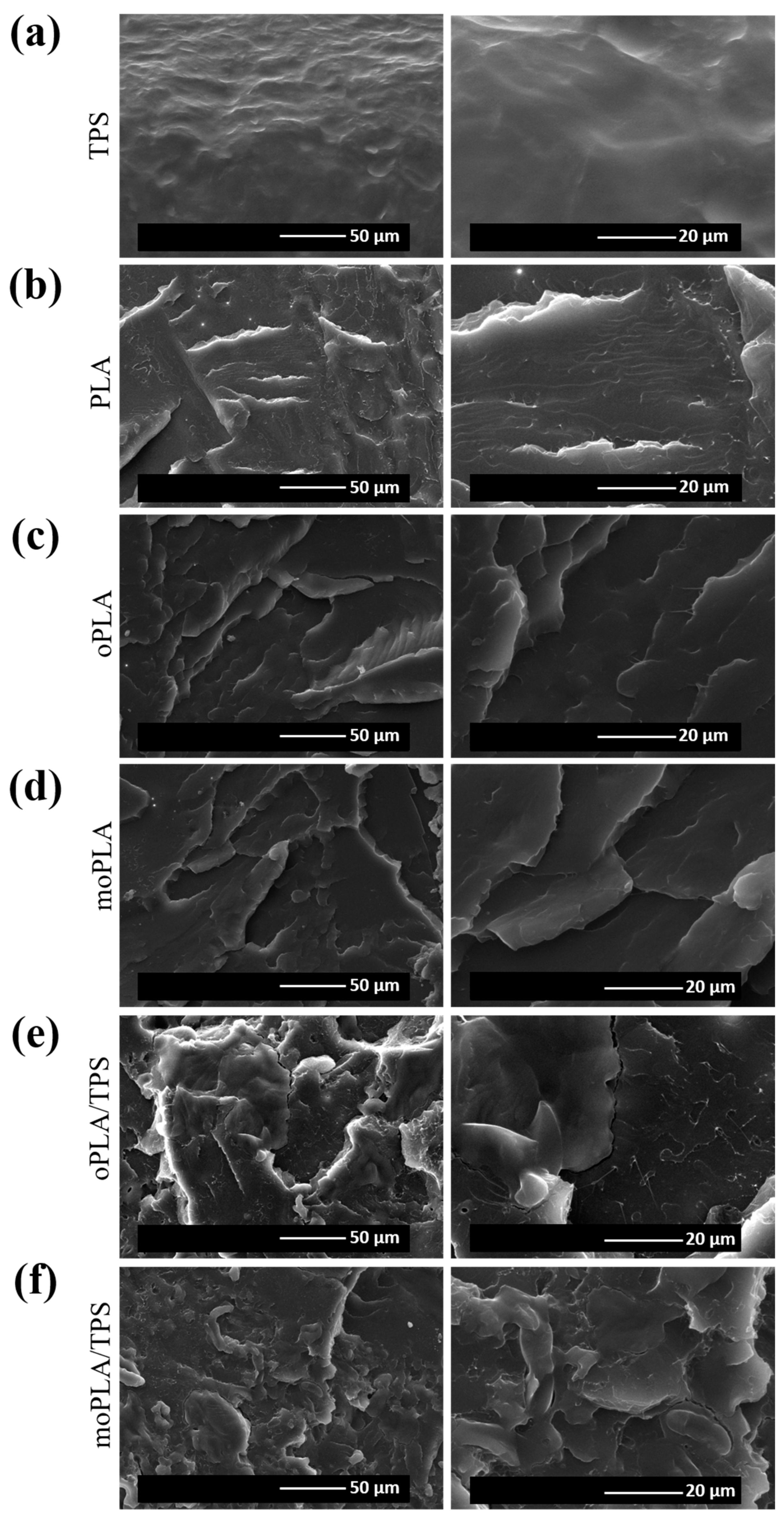 Polymers 16 01107 g001