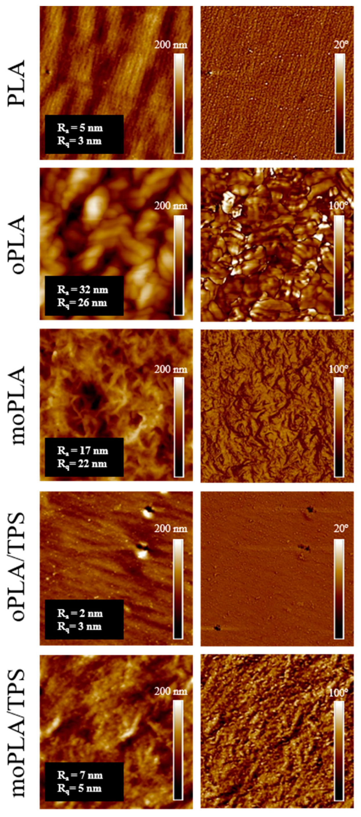 Polymers 16 01107 g002