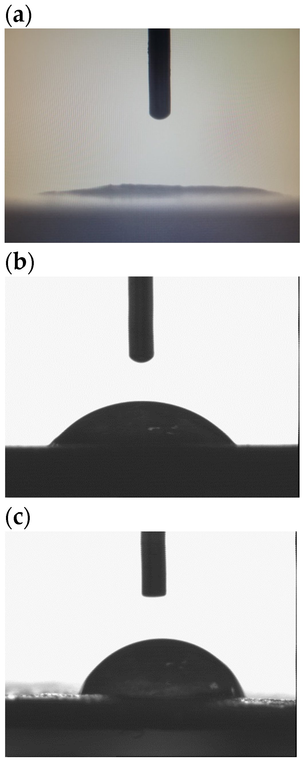 Polymers 16 01108 g006